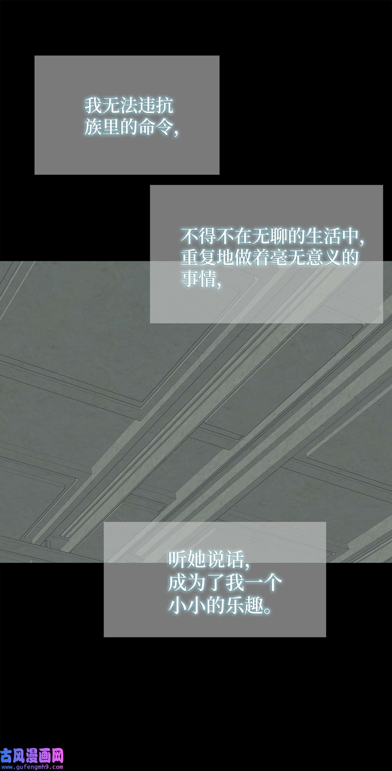 图腾领域49 野后伊