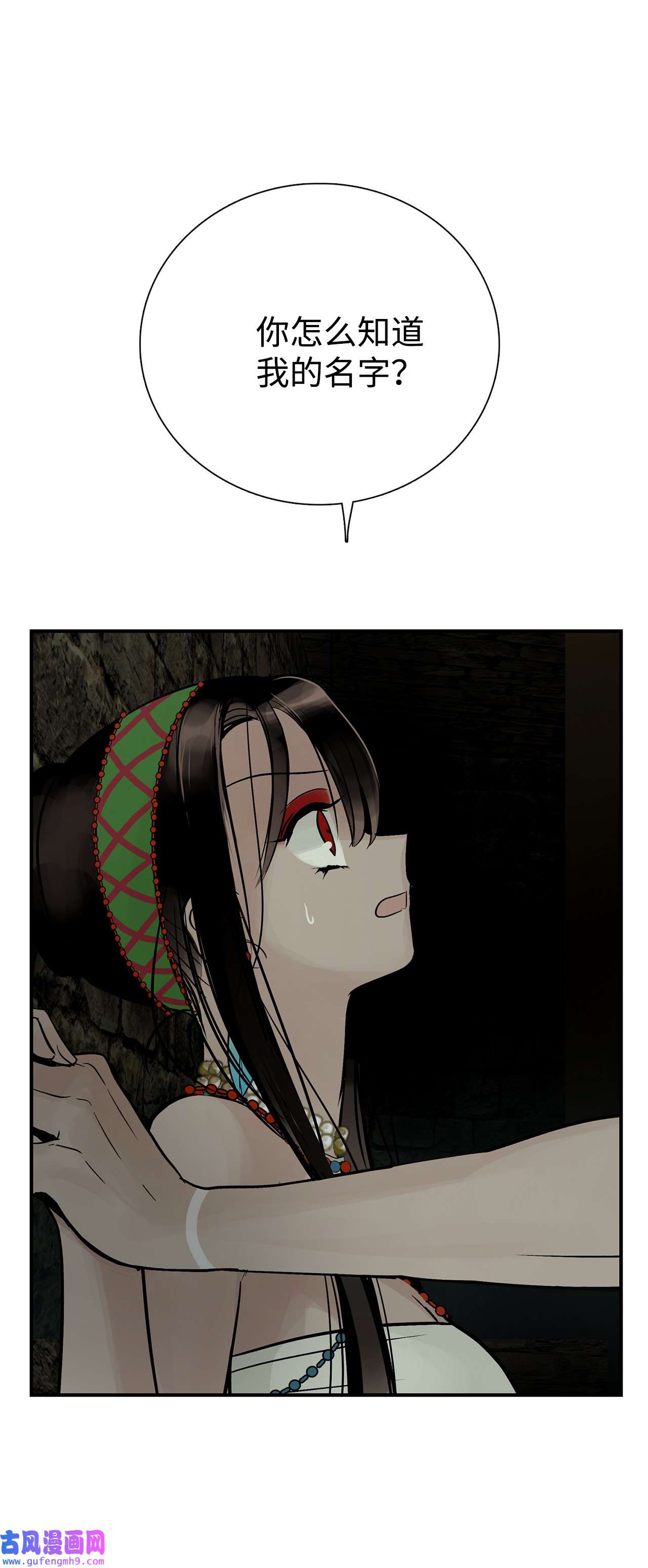 图腾领域49 野后伊