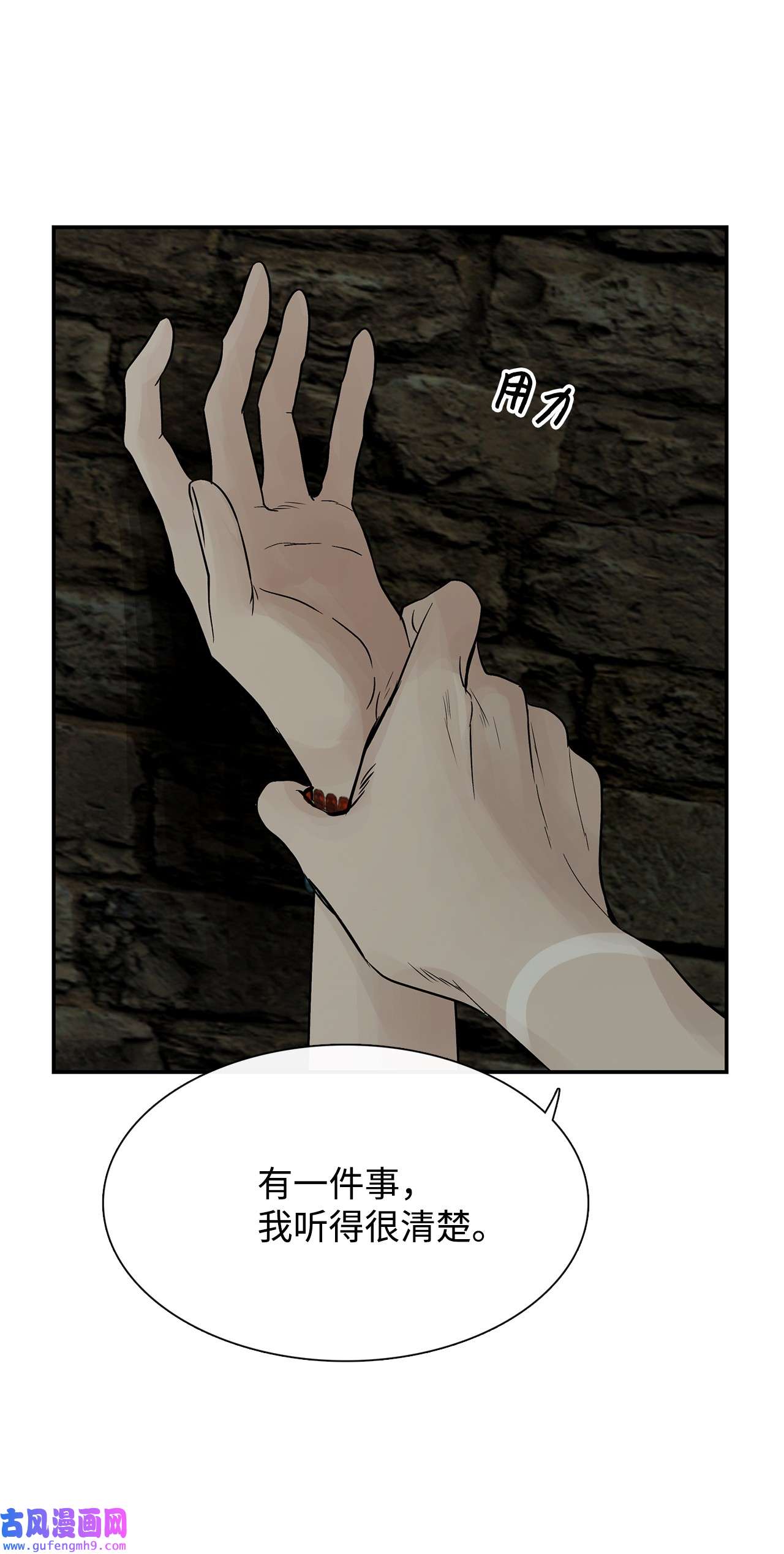 图腾领域49 野后伊