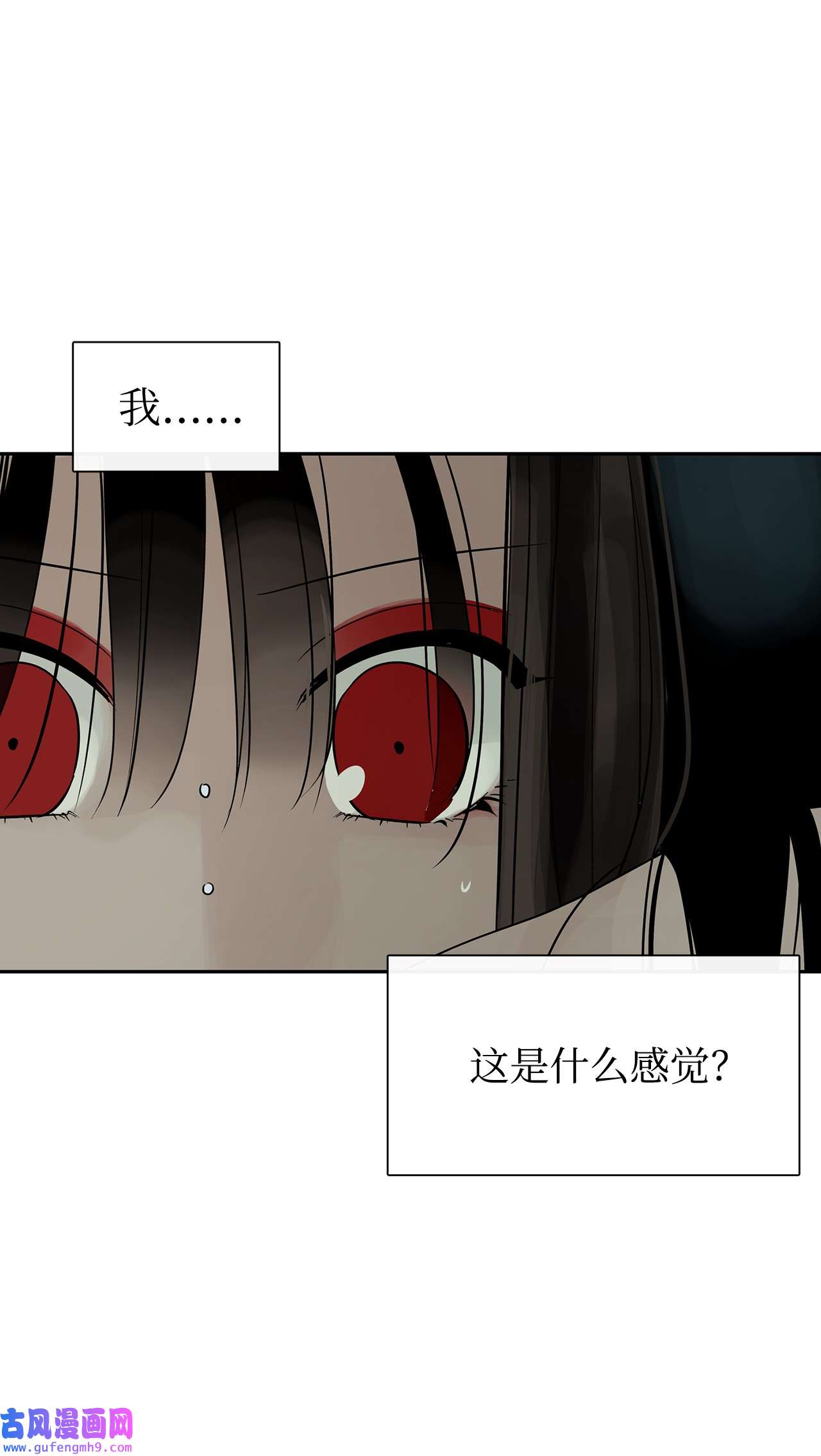 图腾领域50 欢迎来库都找我