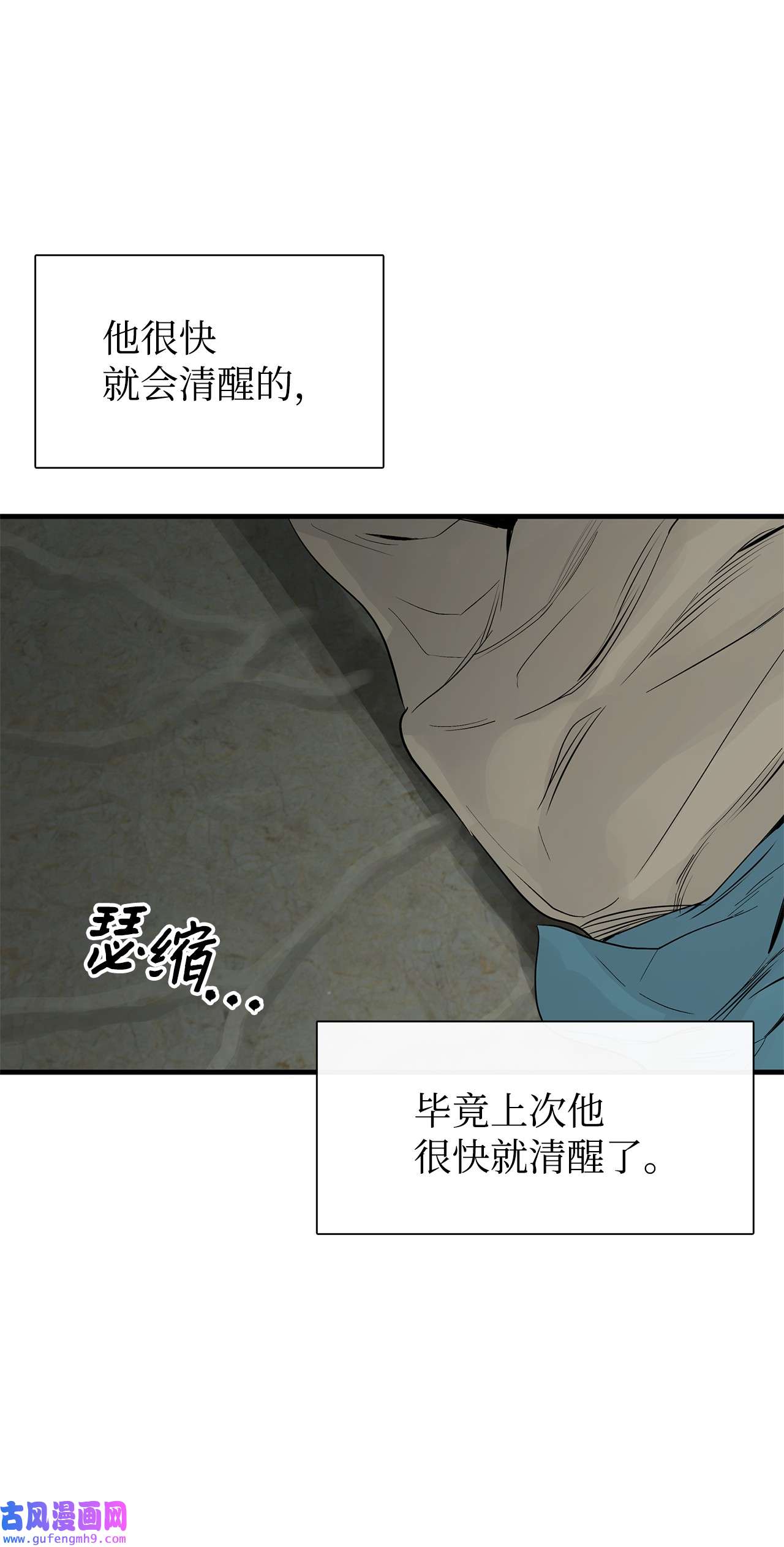 图腾领域53 疗伤