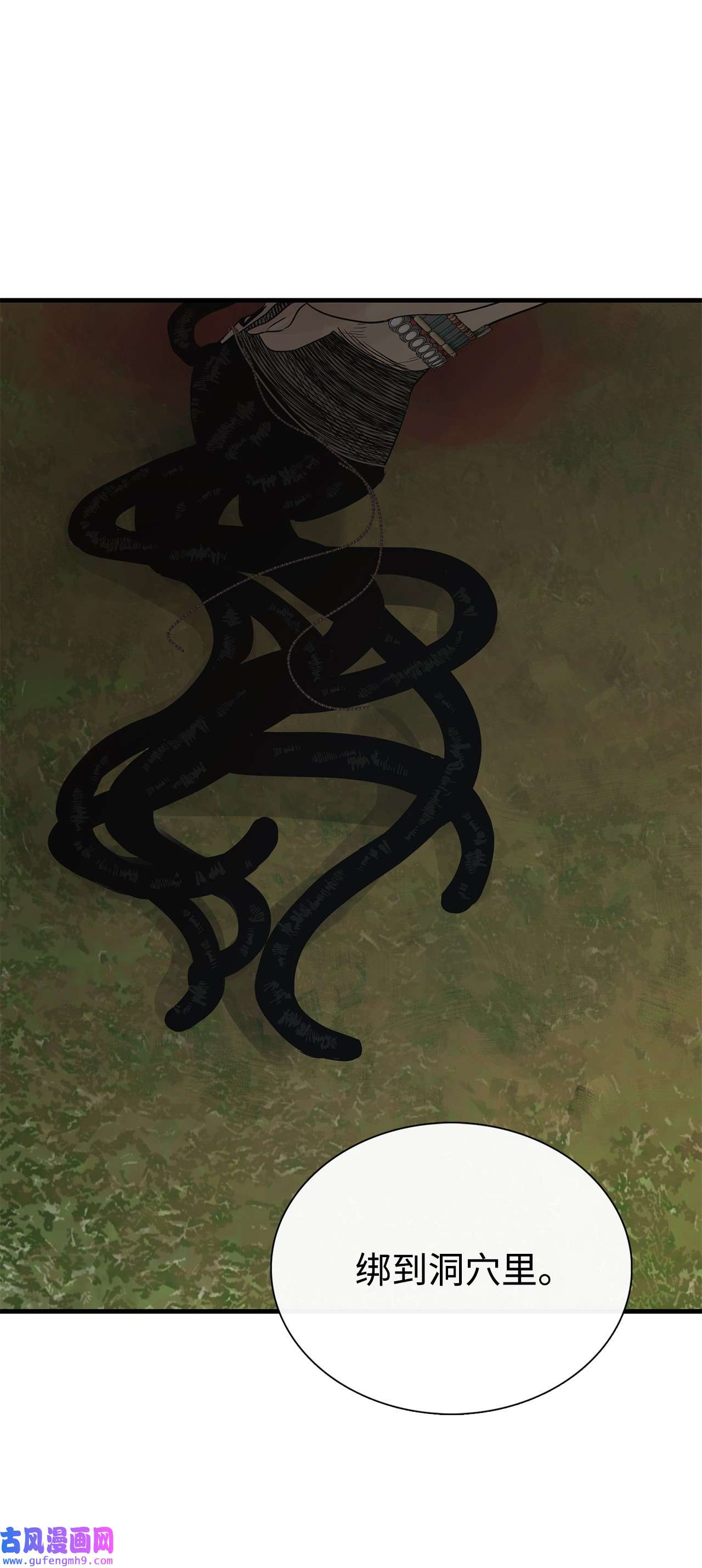 图腾领域54 警告