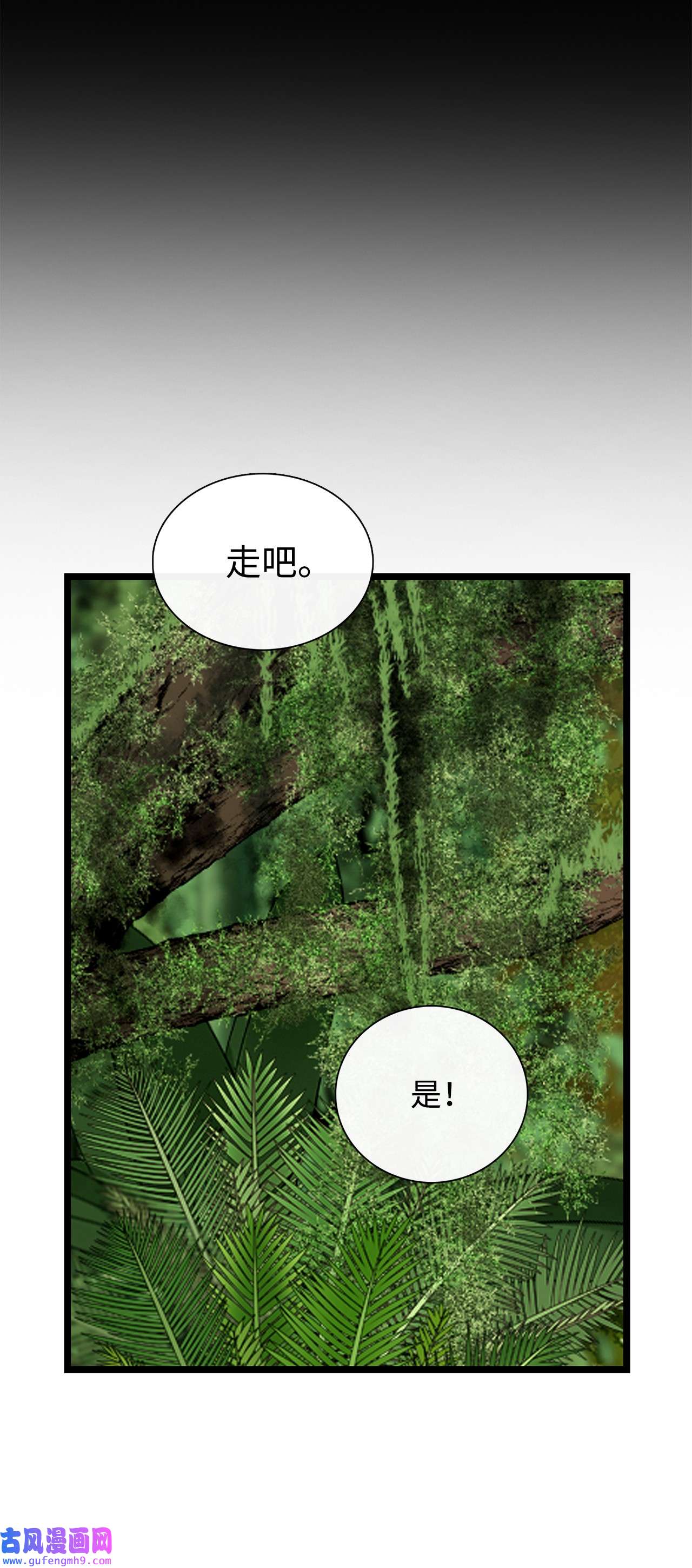 图腾领域54 警告