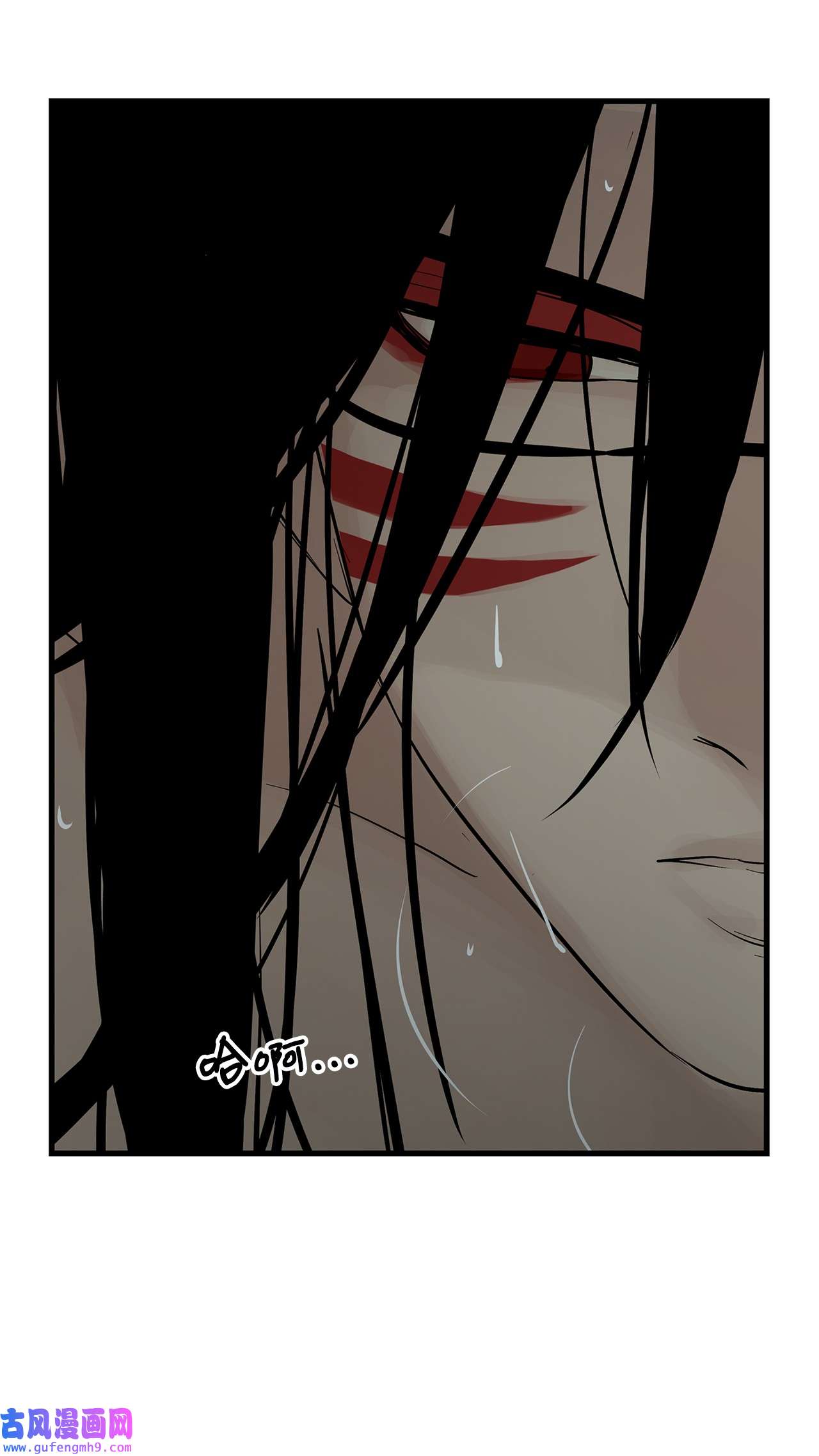 图腾领域55 要不要跟我走