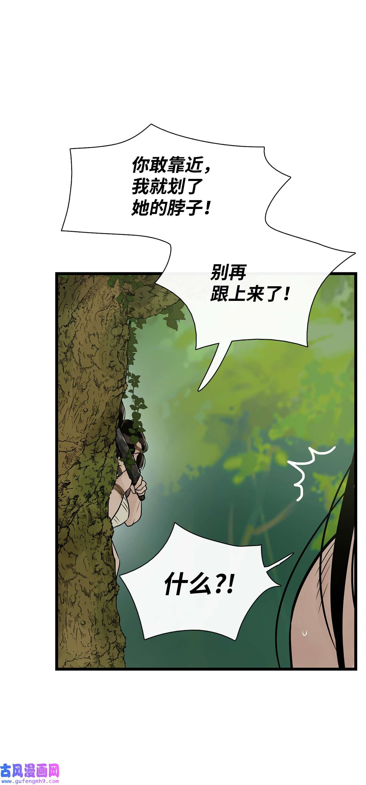 图腾领域56 这都是谁害的