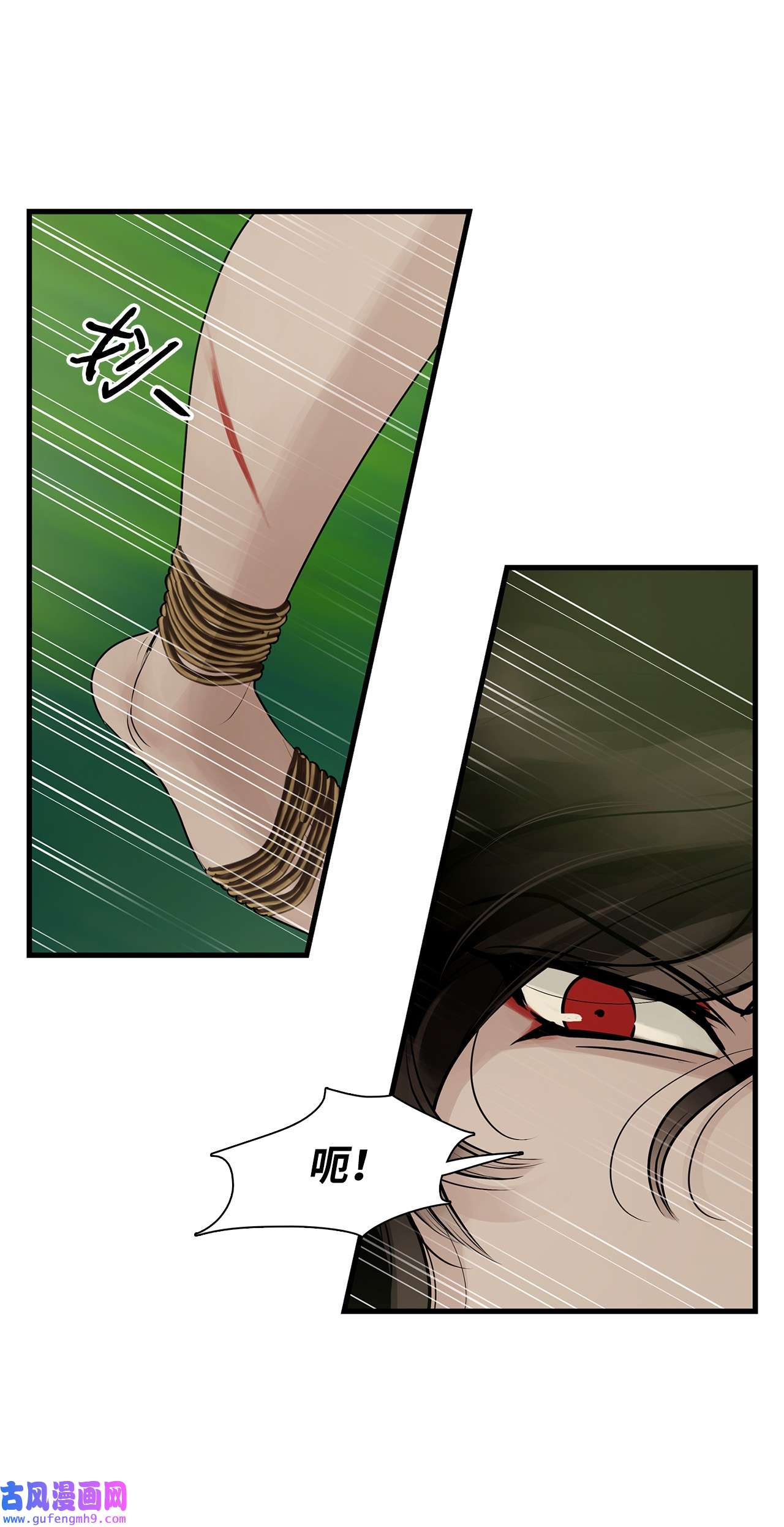 图腾领域56 这都是谁害的