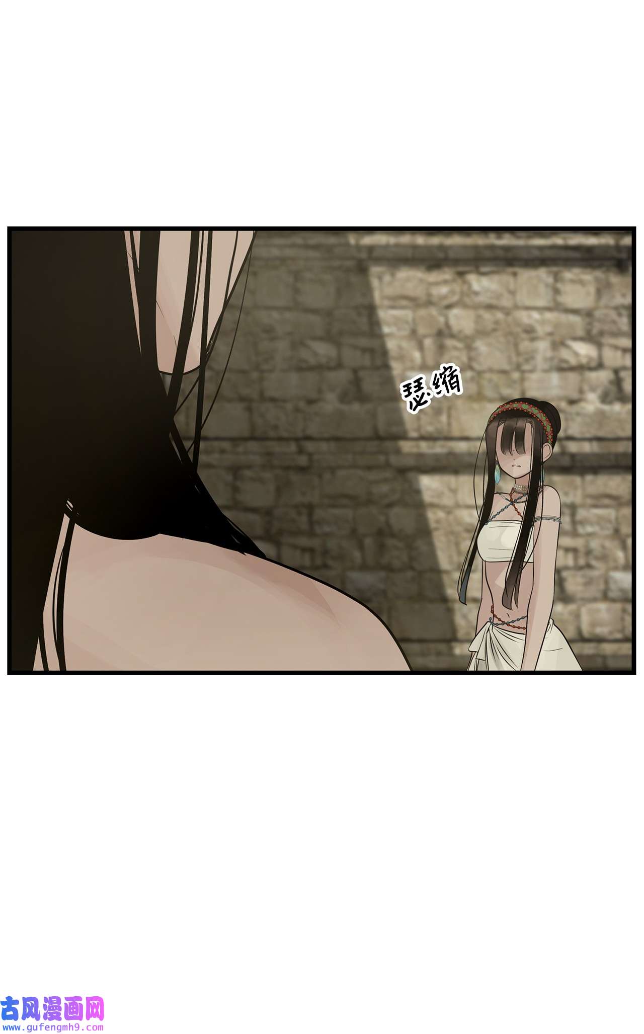 图腾领域58 真相