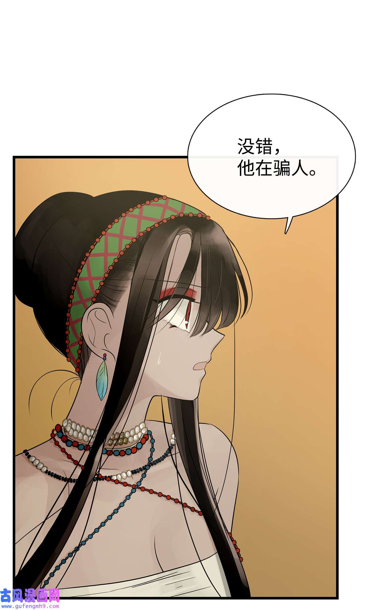 图腾领域58 真相