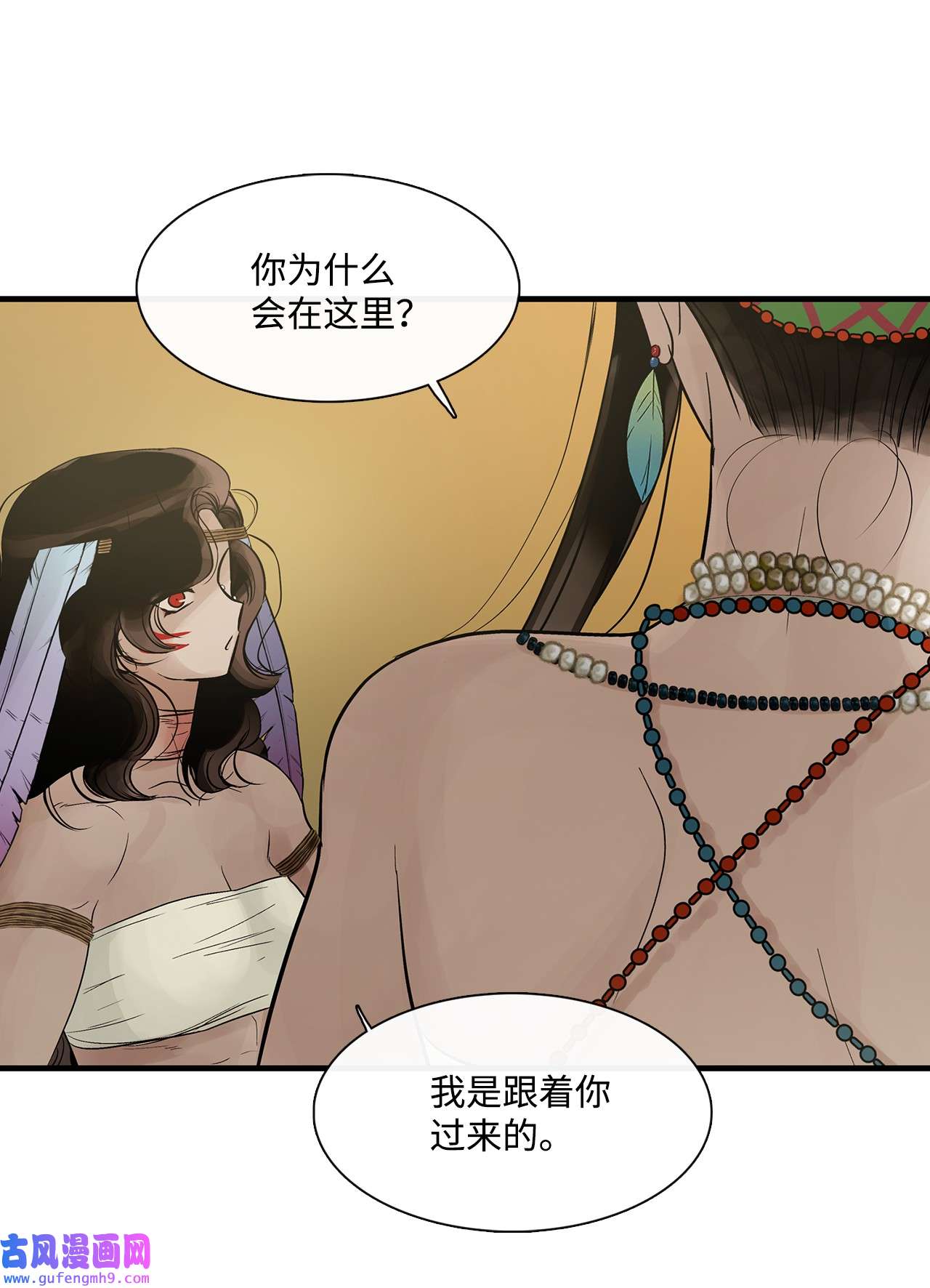 图腾领域58 真相