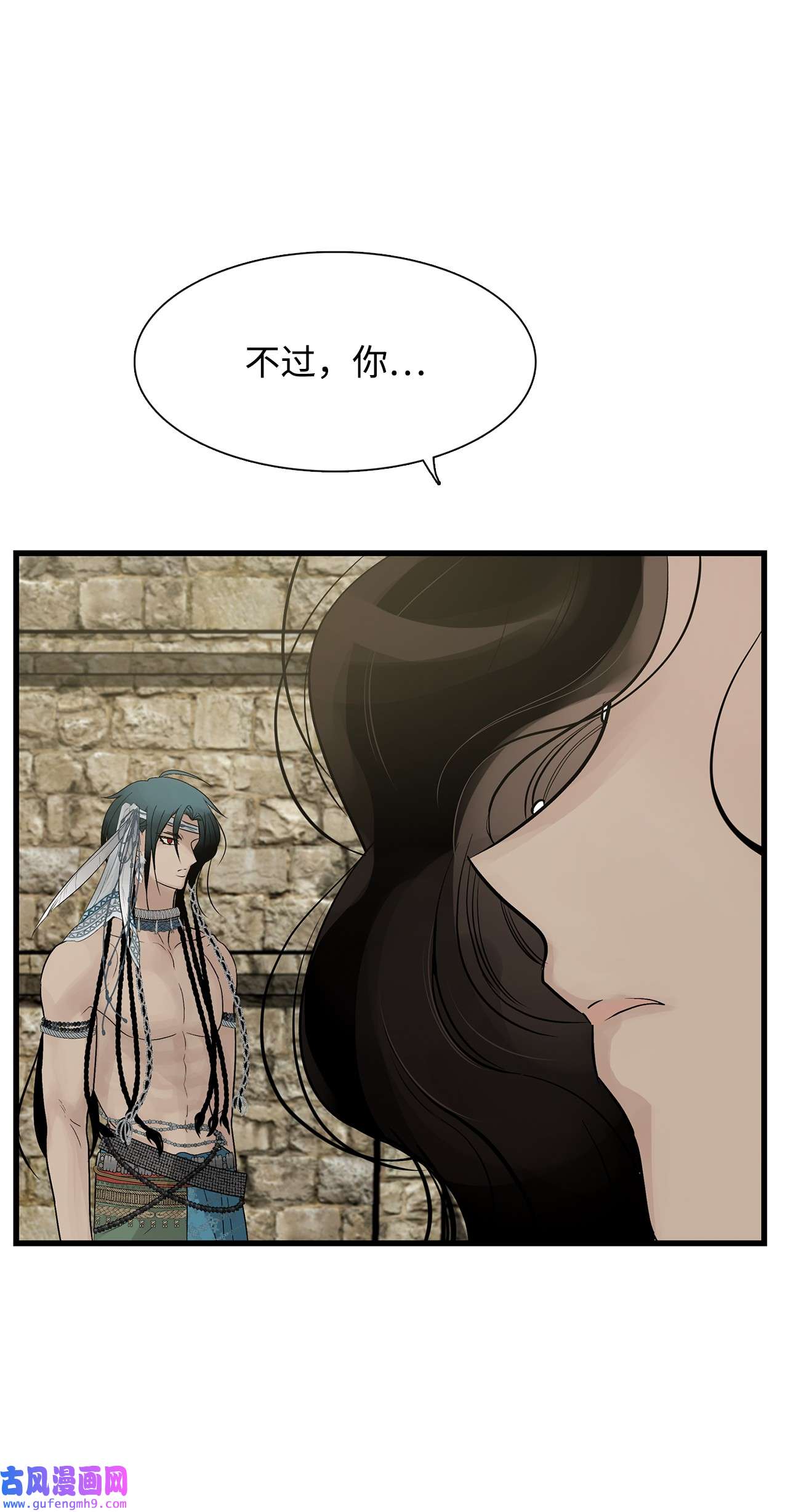 图腾领域58 真相