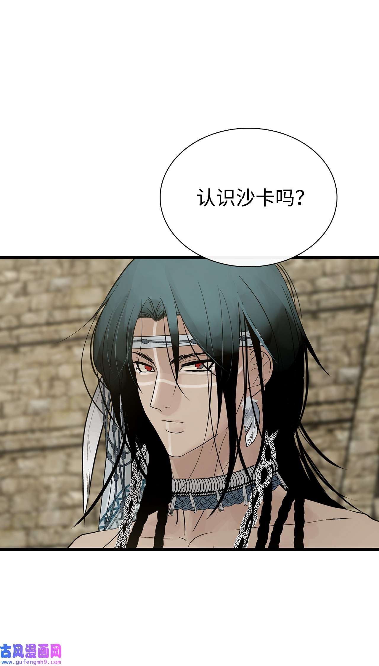 图腾领域58 真相