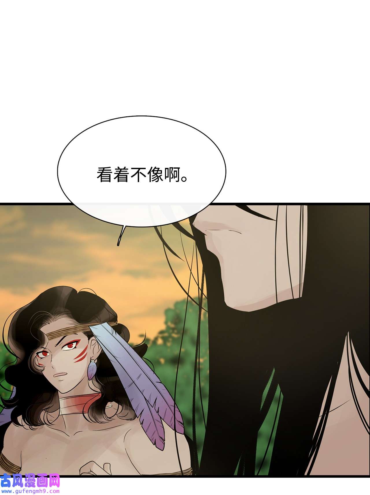 图腾领域58 真相