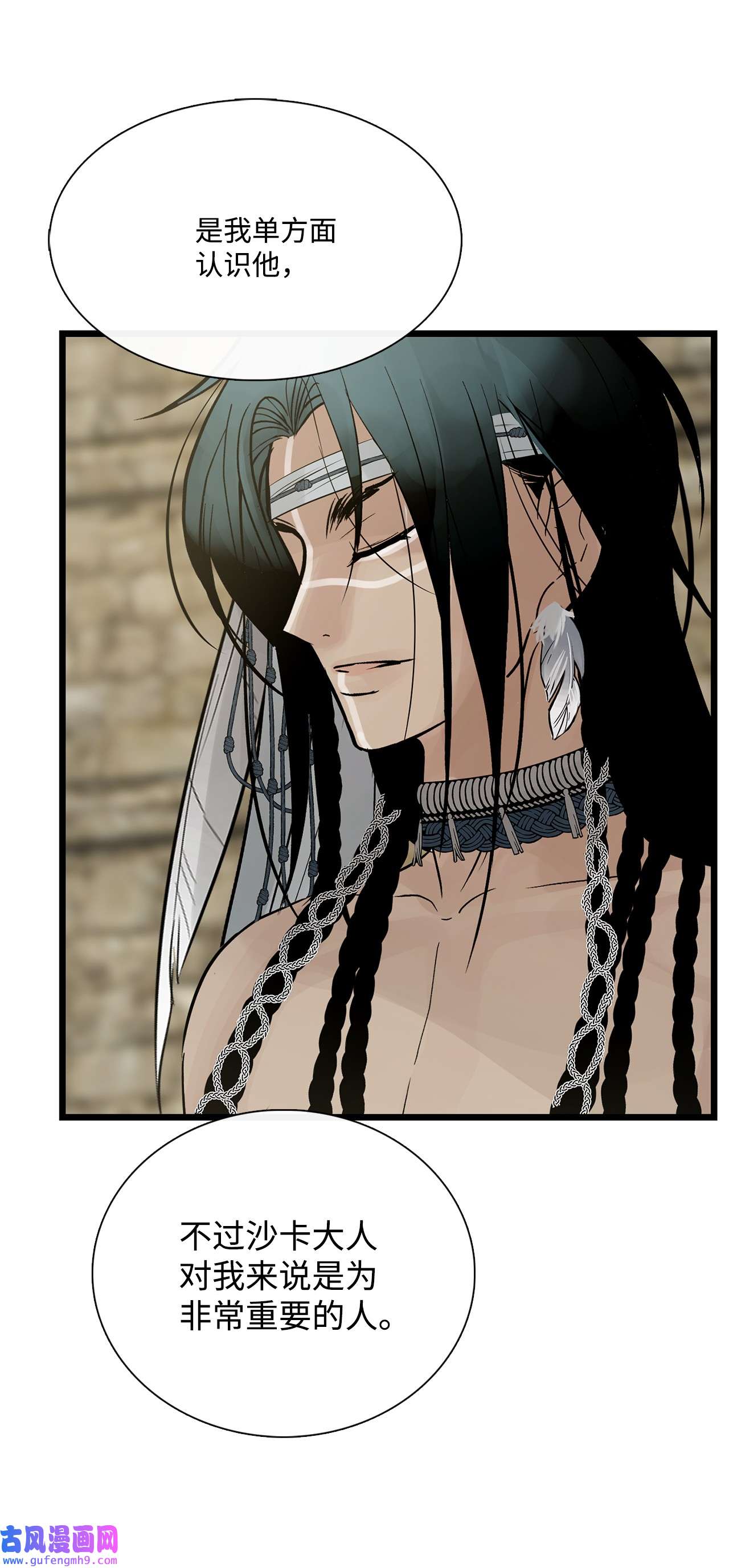 图腾领域58 真相