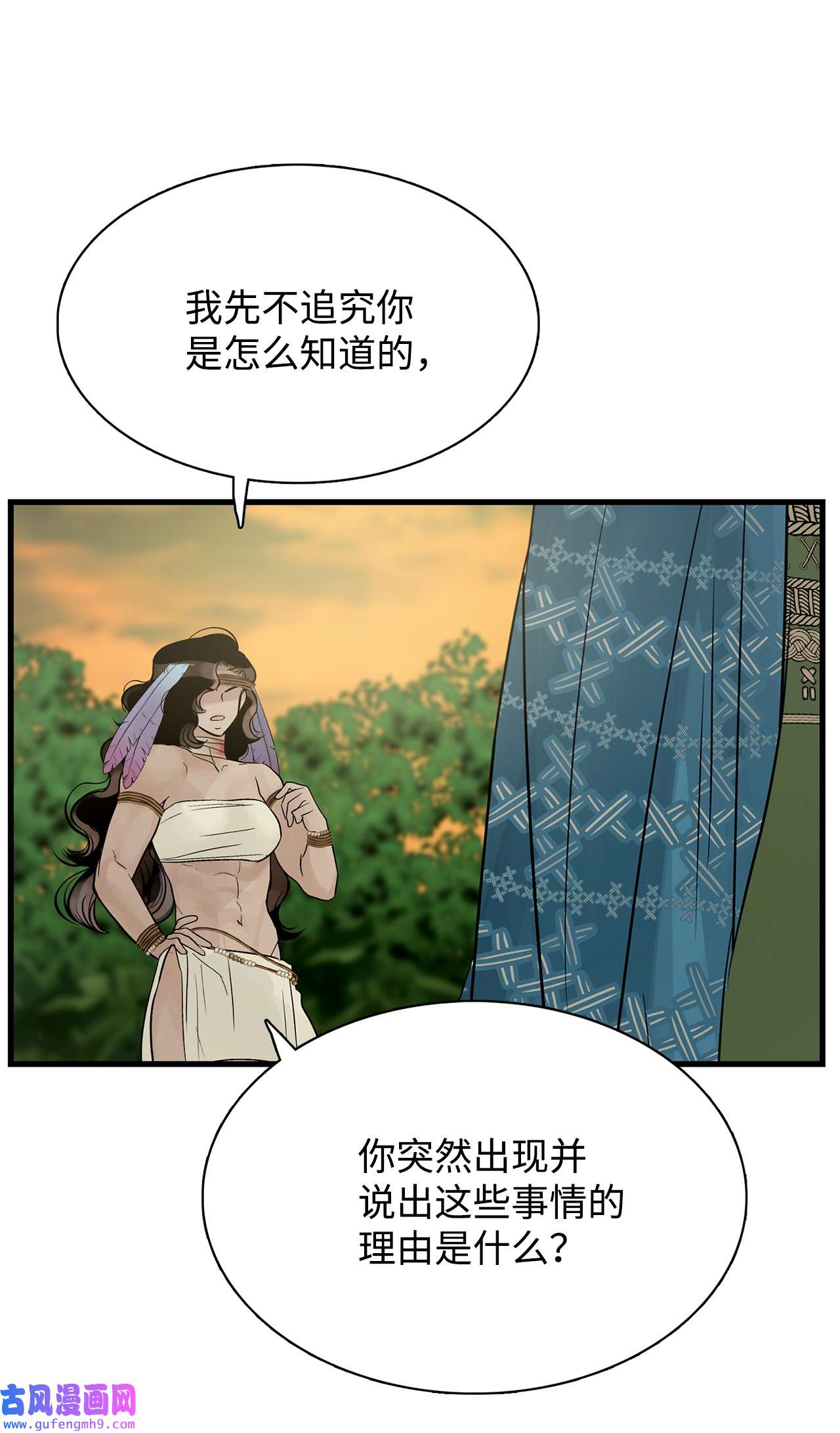 图腾领域58 真相