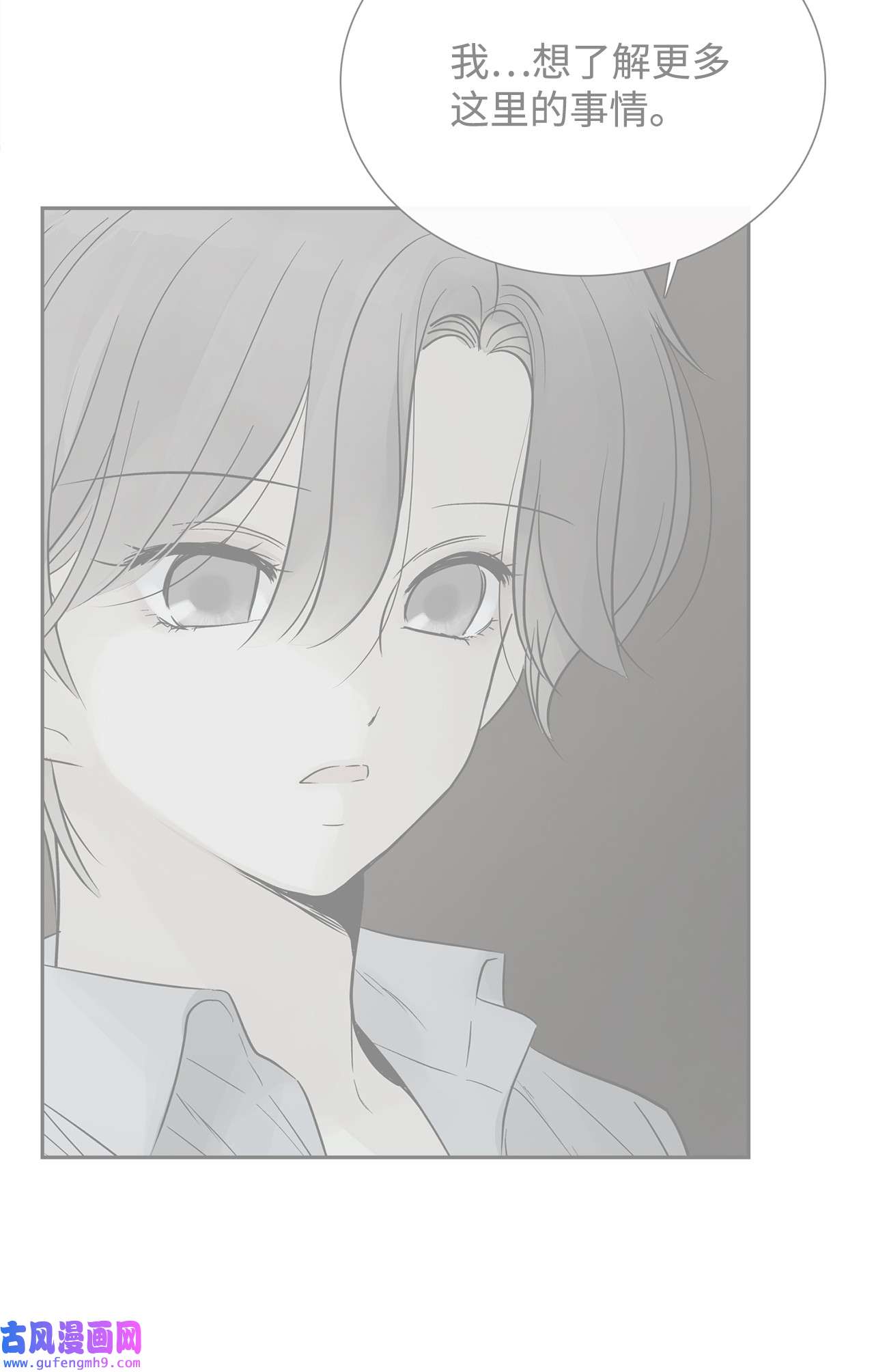 图腾领域58 真相