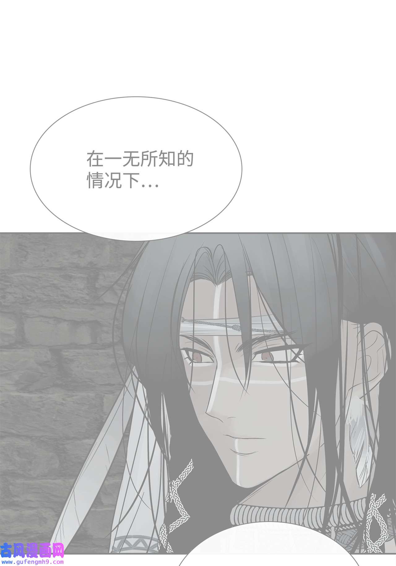 图腾领域58 真相