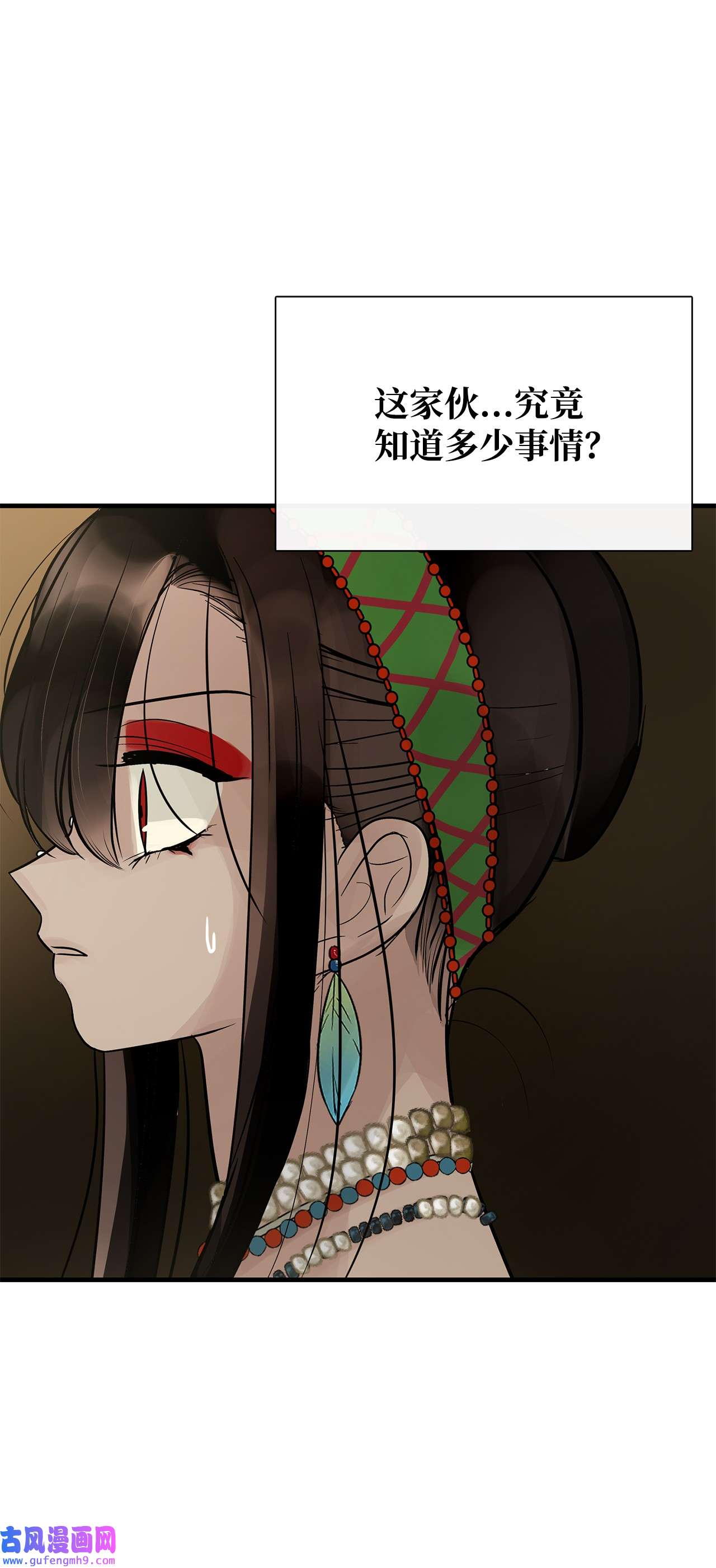 图腾领域58 真相