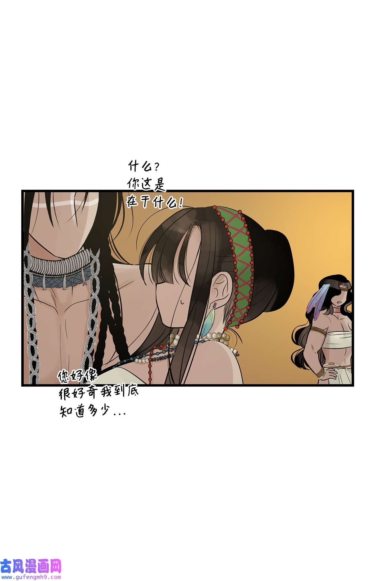 图腾领域58 真相