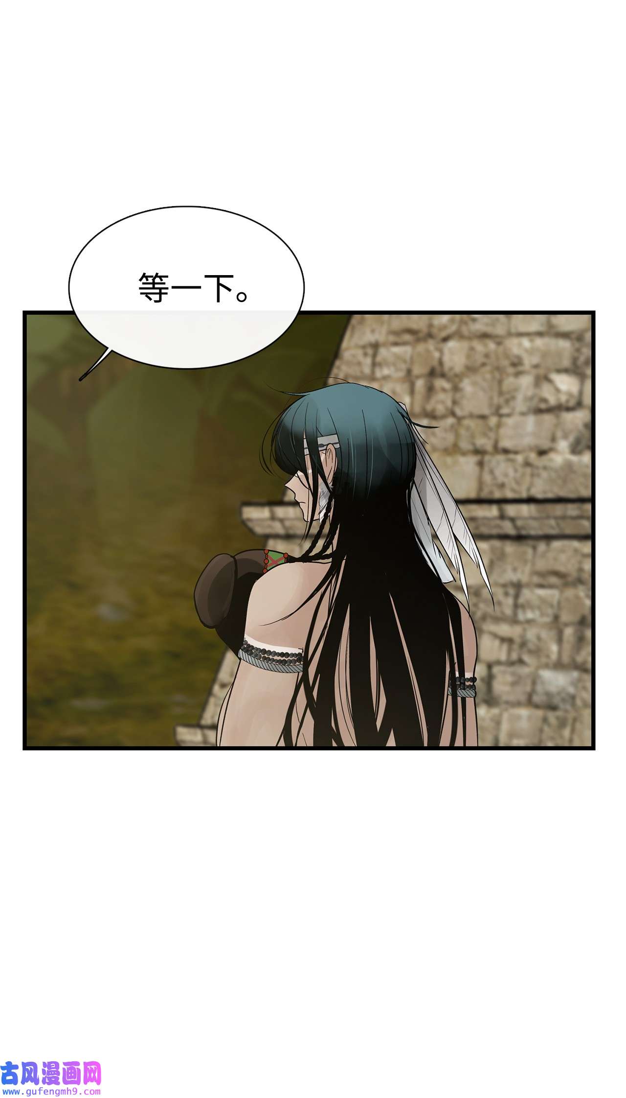 图腾领域58 真相