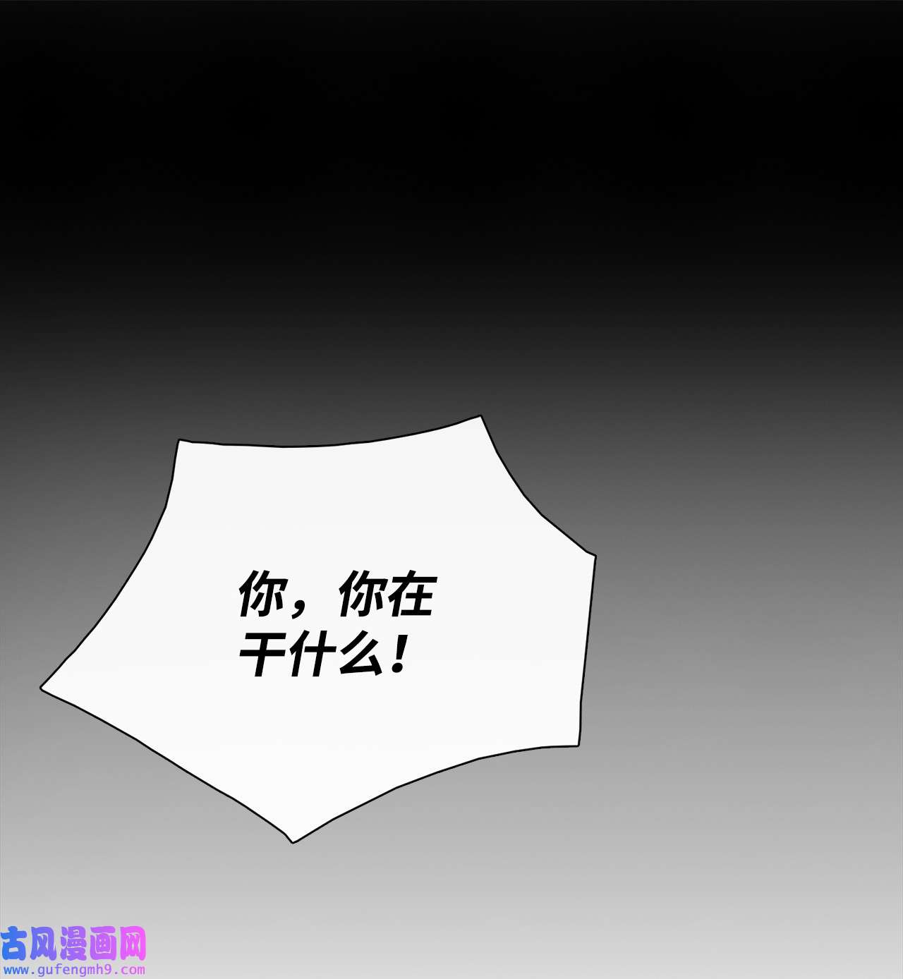 图腾领域58 真相