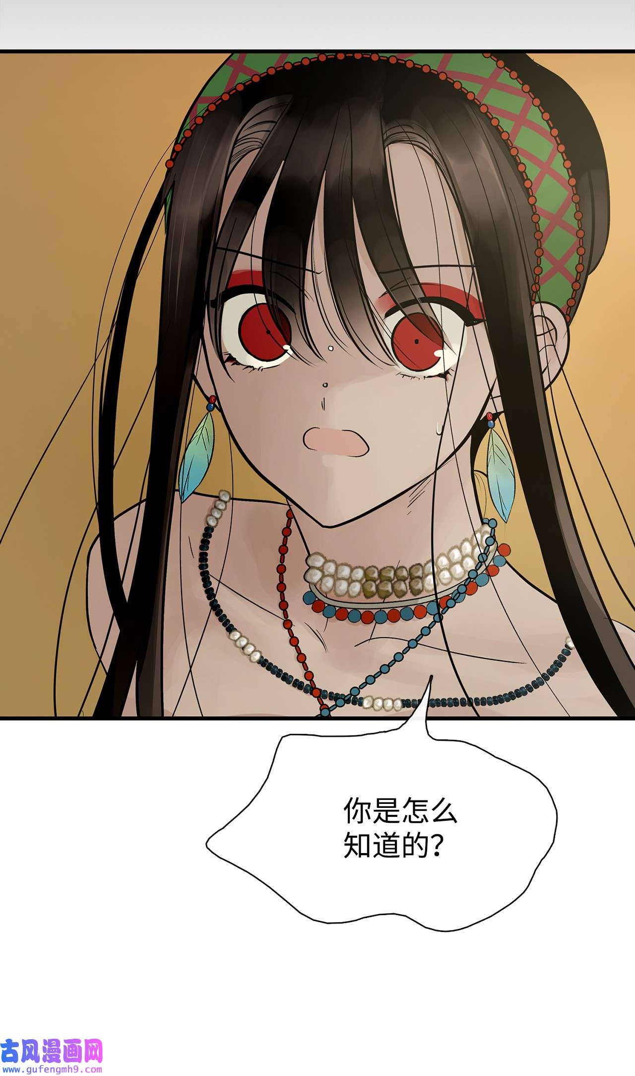 图腾领域58 真相