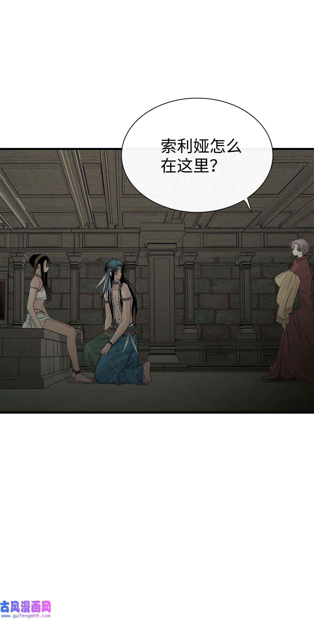 图腾领域58 真相