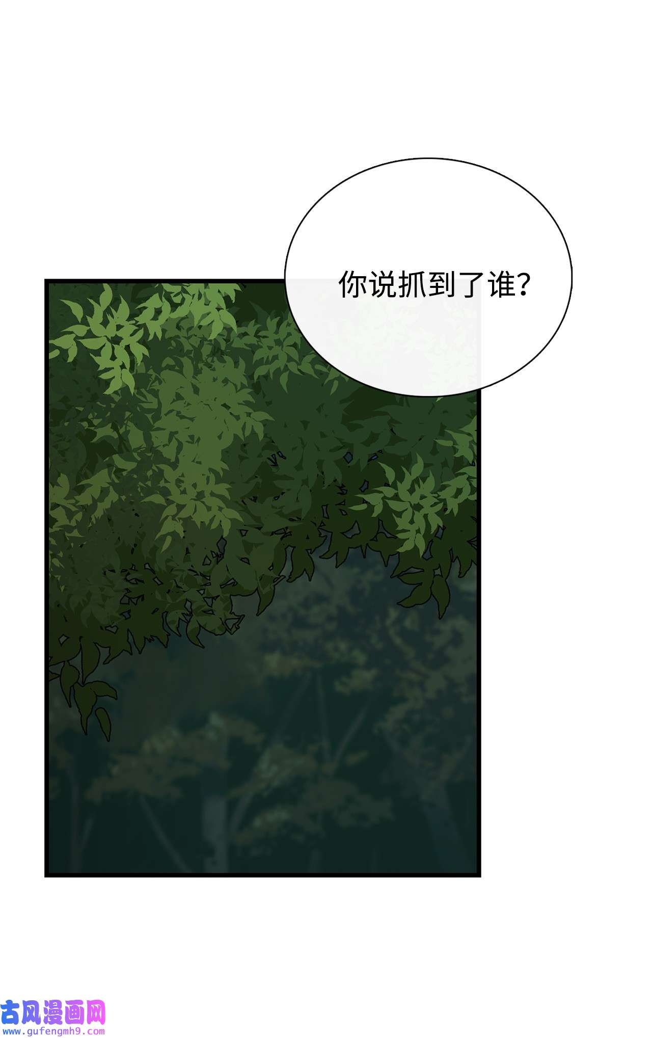 图腾领域60 我们一起