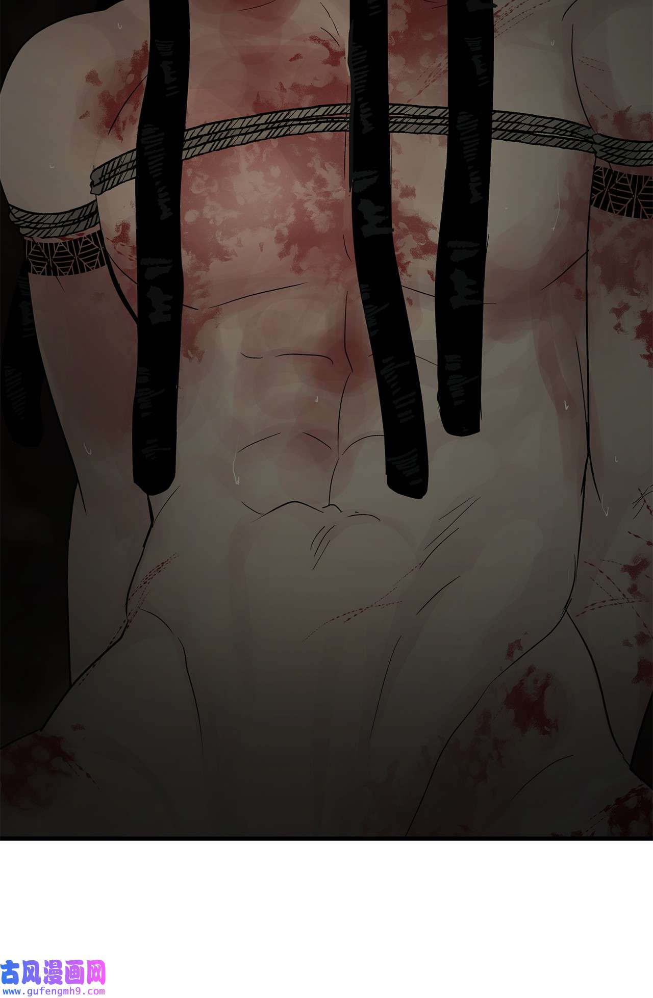 图腾领域60 我们一起