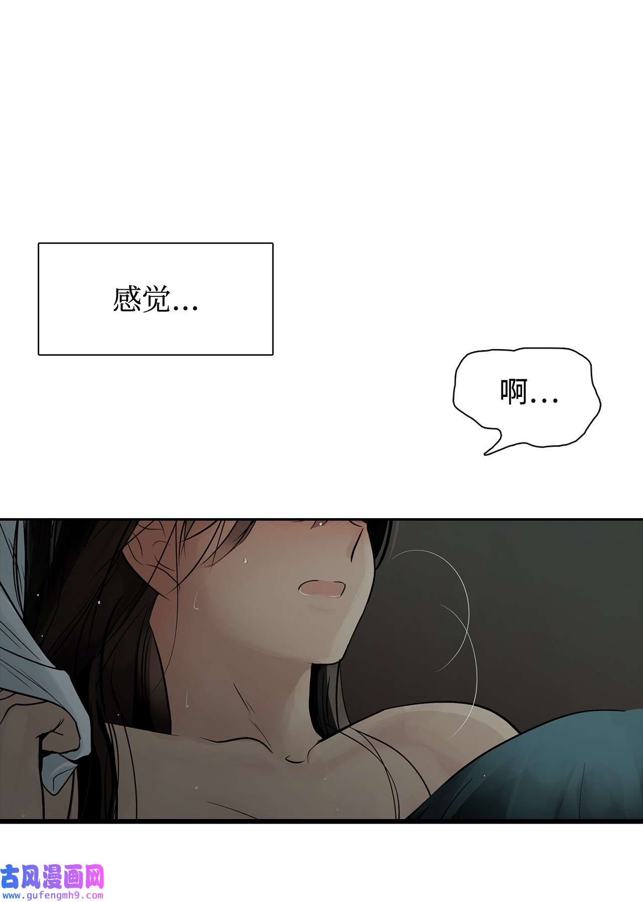 图腾领域60 我们一起