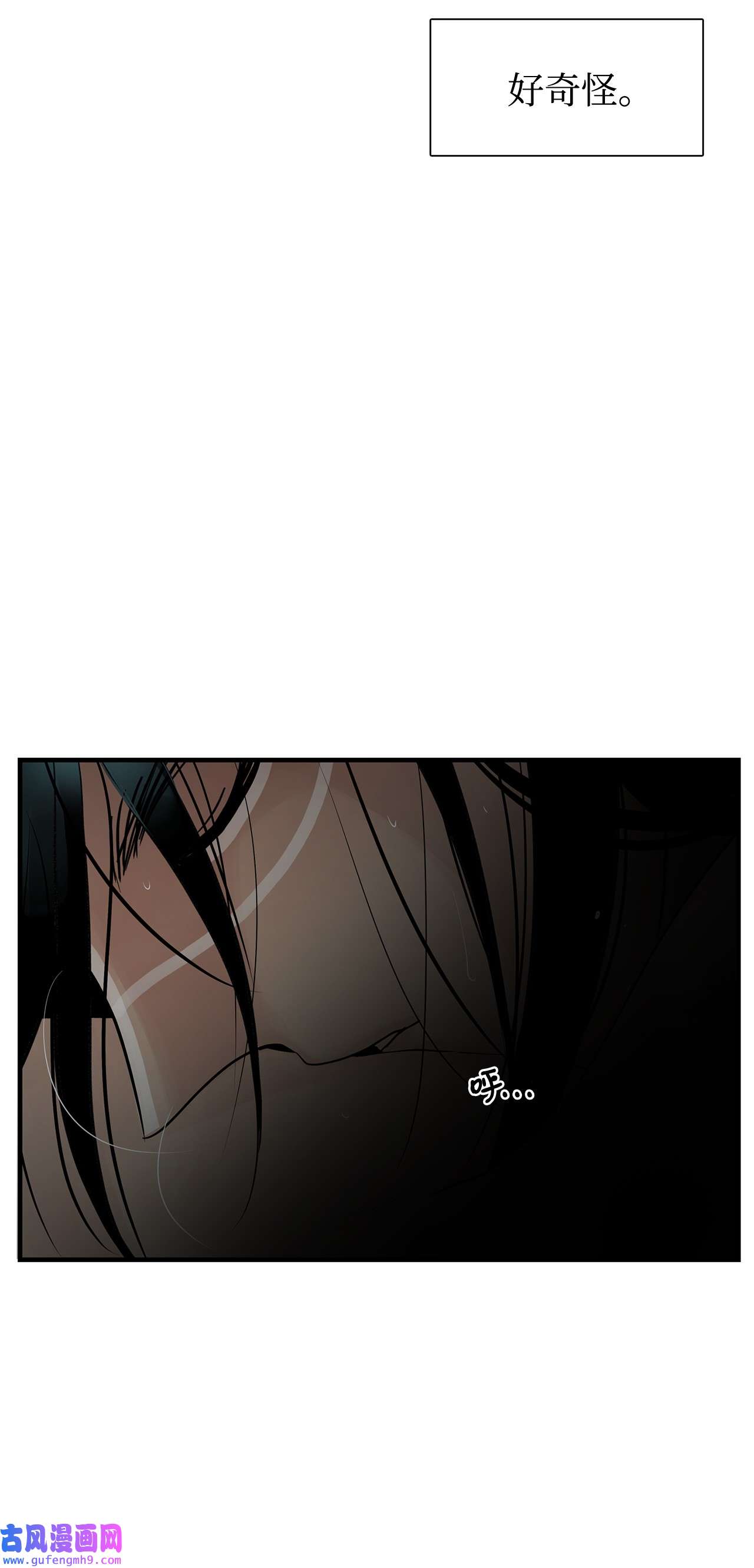 图腾领域60 我们一起