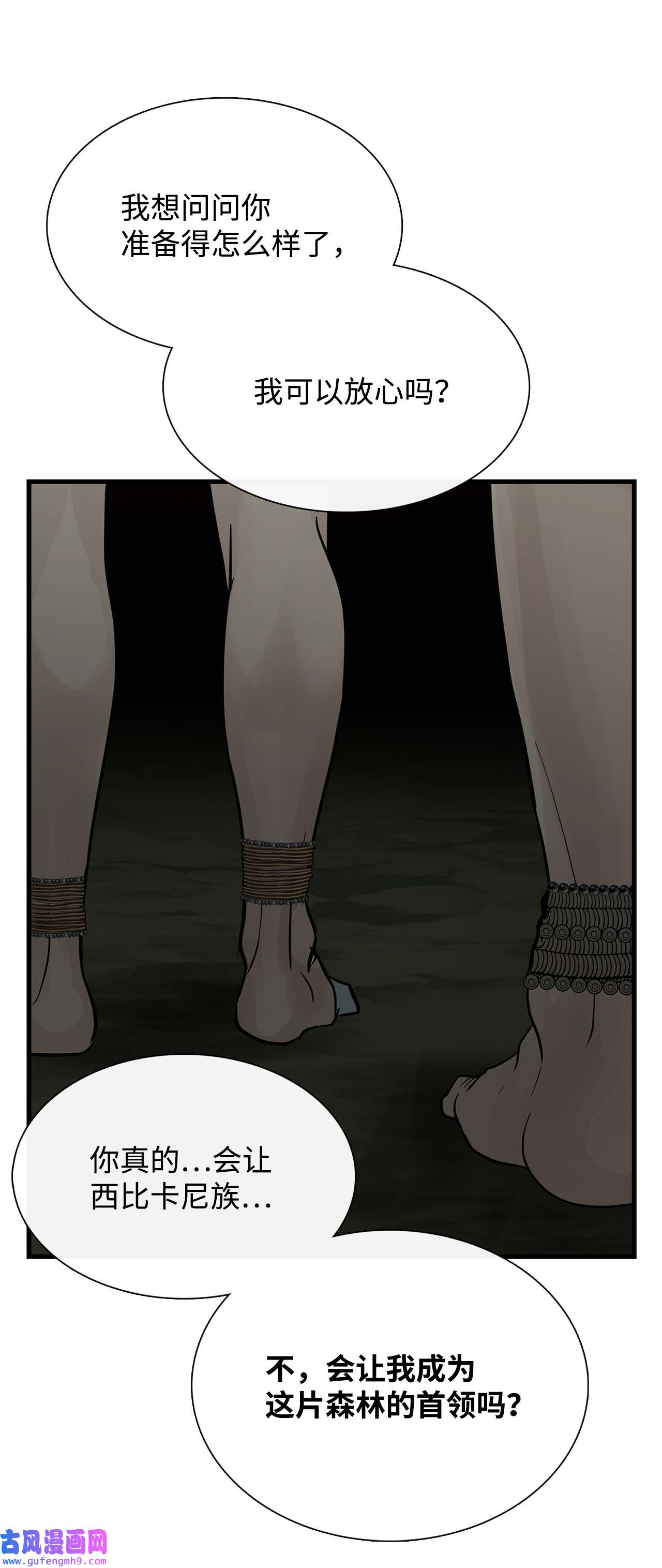 图腾领域61 松绑