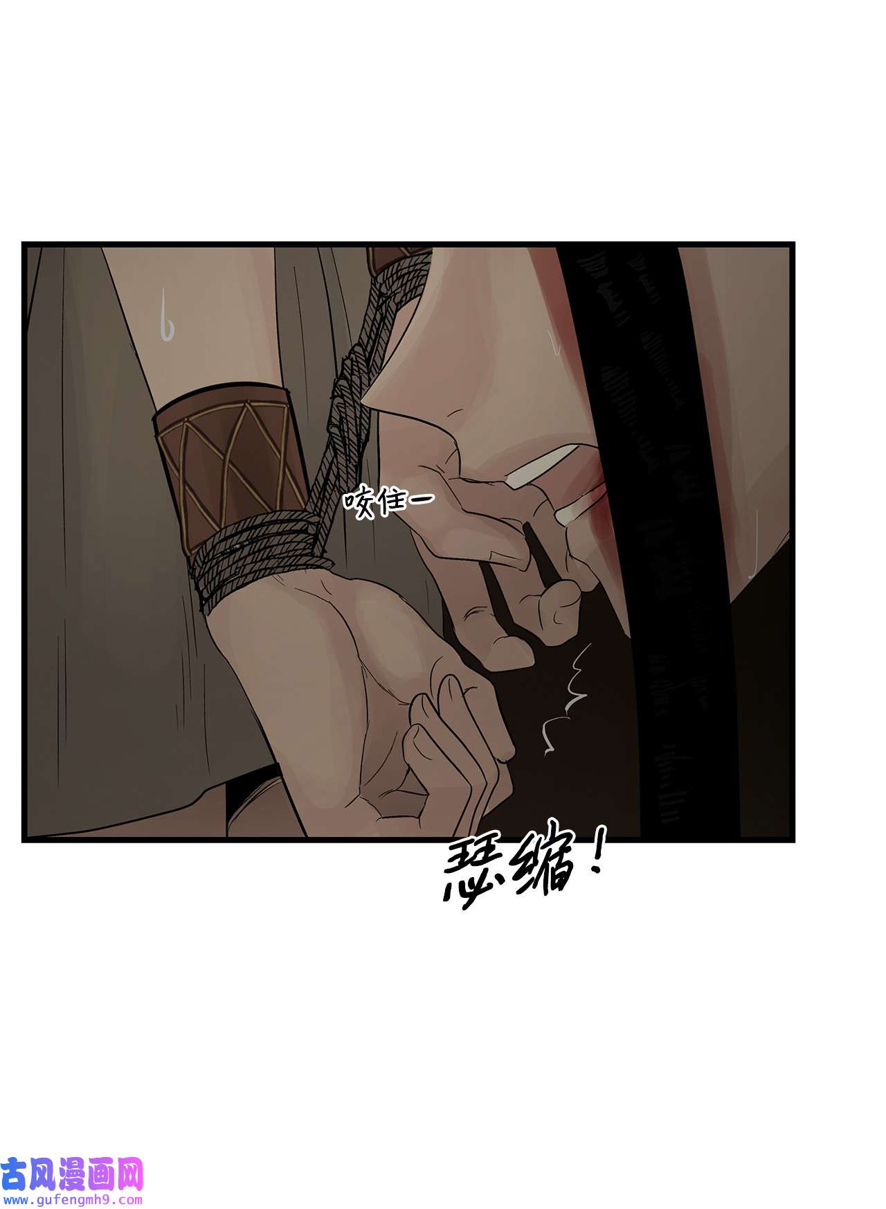 图腾领域61 松绑