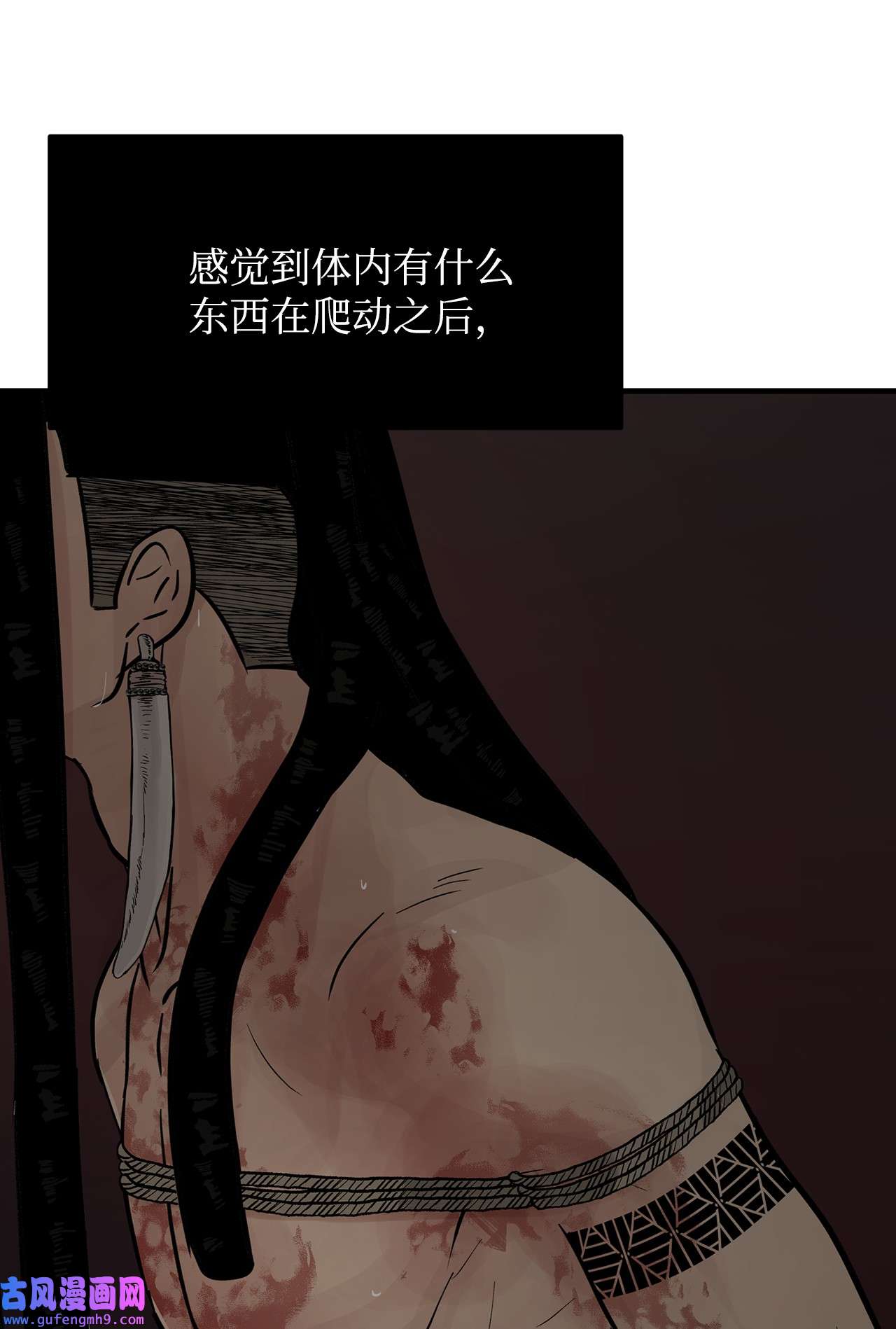 图腾领域61 松绑