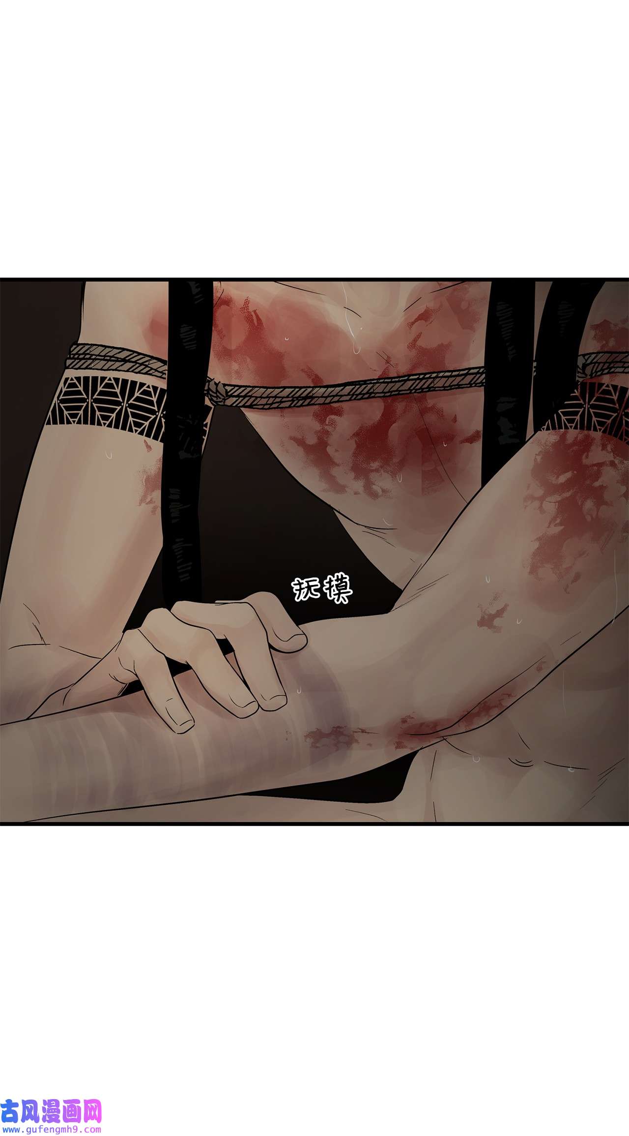 图腾领域62 隐瞒