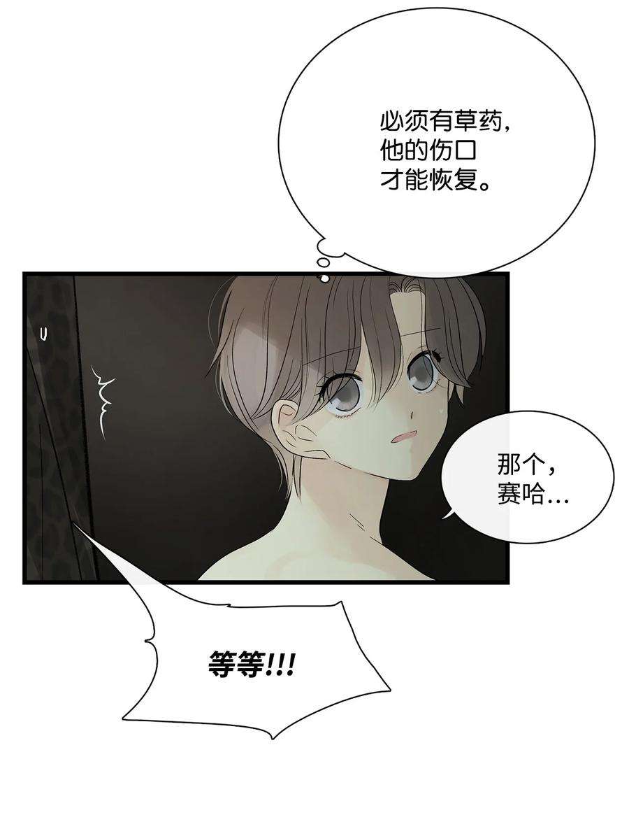 图腾领域68 不要叫我的名字