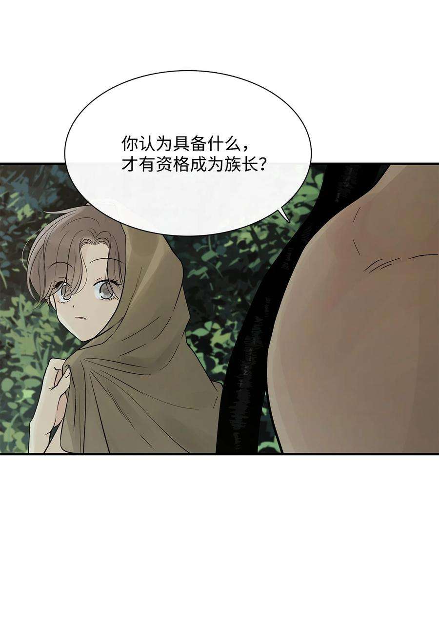 图腾领域70 其他选择