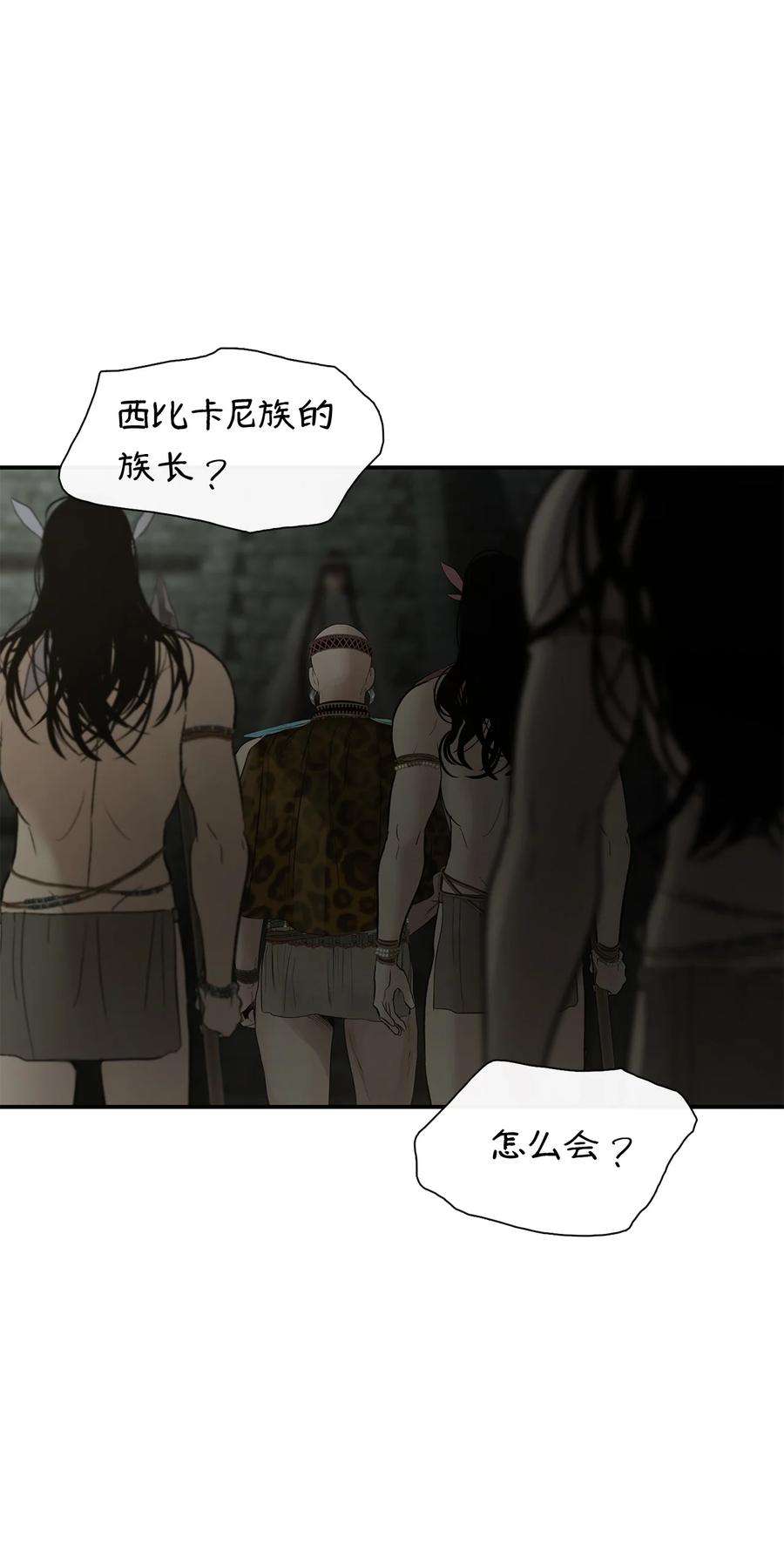 图腾领域74 最后的族长