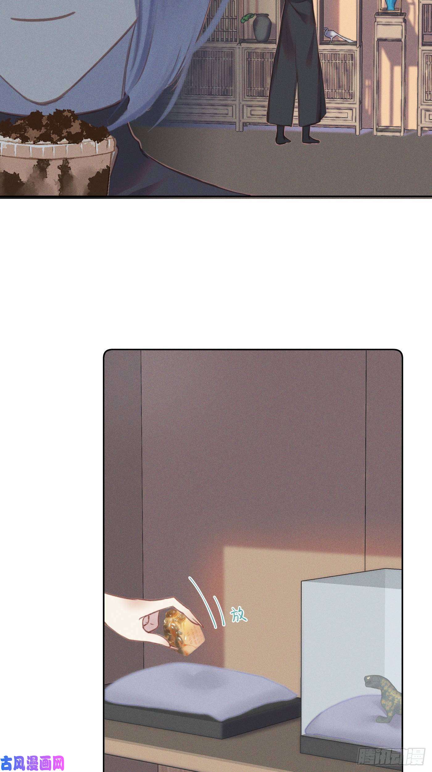 攻心为王10 莲成君