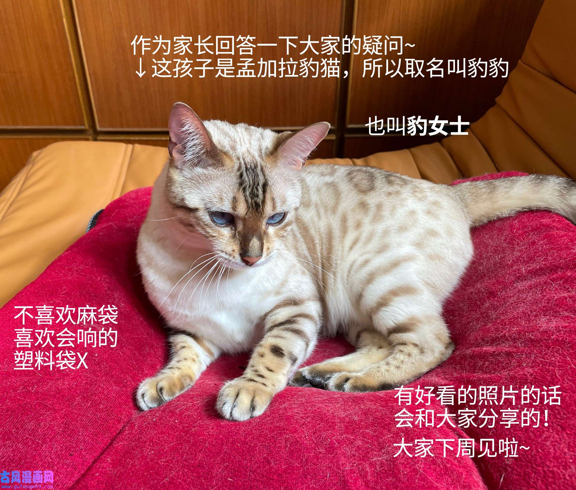 监守被盗003 他身上好香