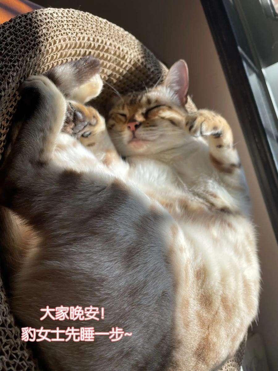 监守被盗008 劲野，你是不是不想住校？