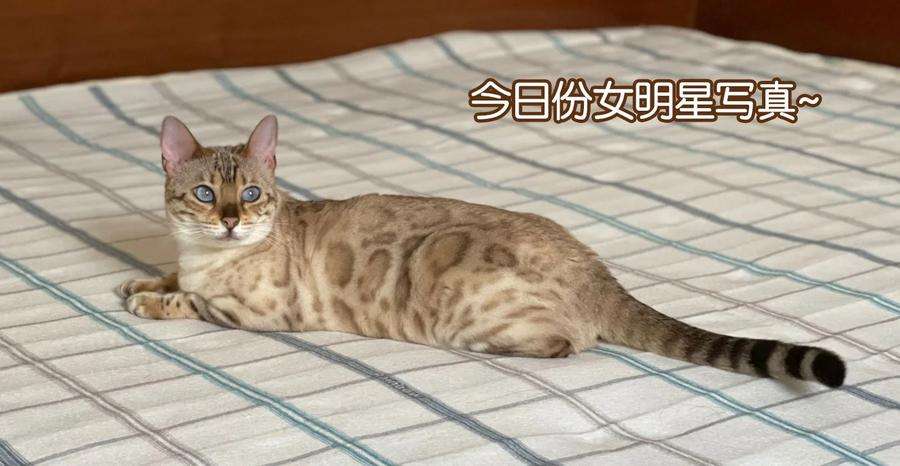 监守被盗010 见家长？！