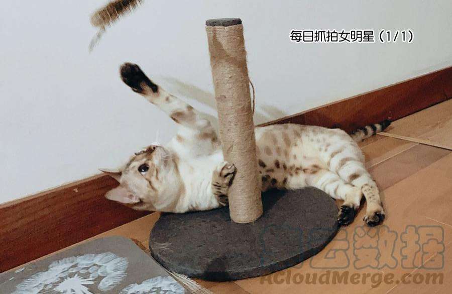 监守被盗011 我会盯好你的