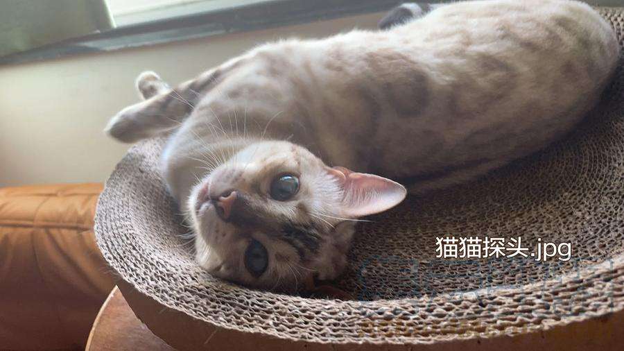 监守被盗012 寝室冲突