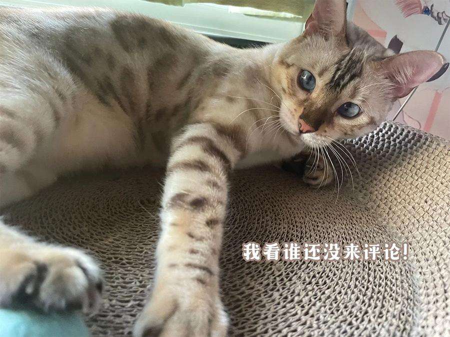 监守被盗014 他根本就是活该！