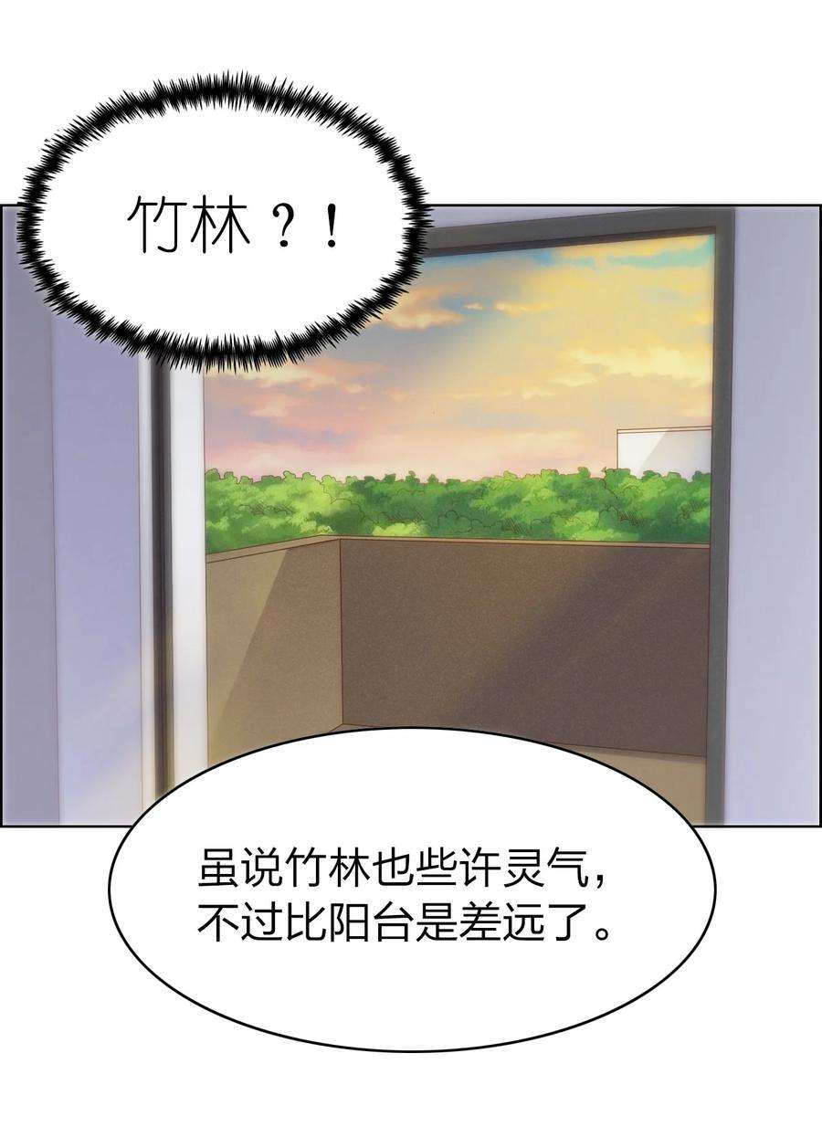 我不做仙帝好多年003 竹林中的老者