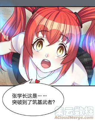 我不做仙帝好多年012 魂术高手
