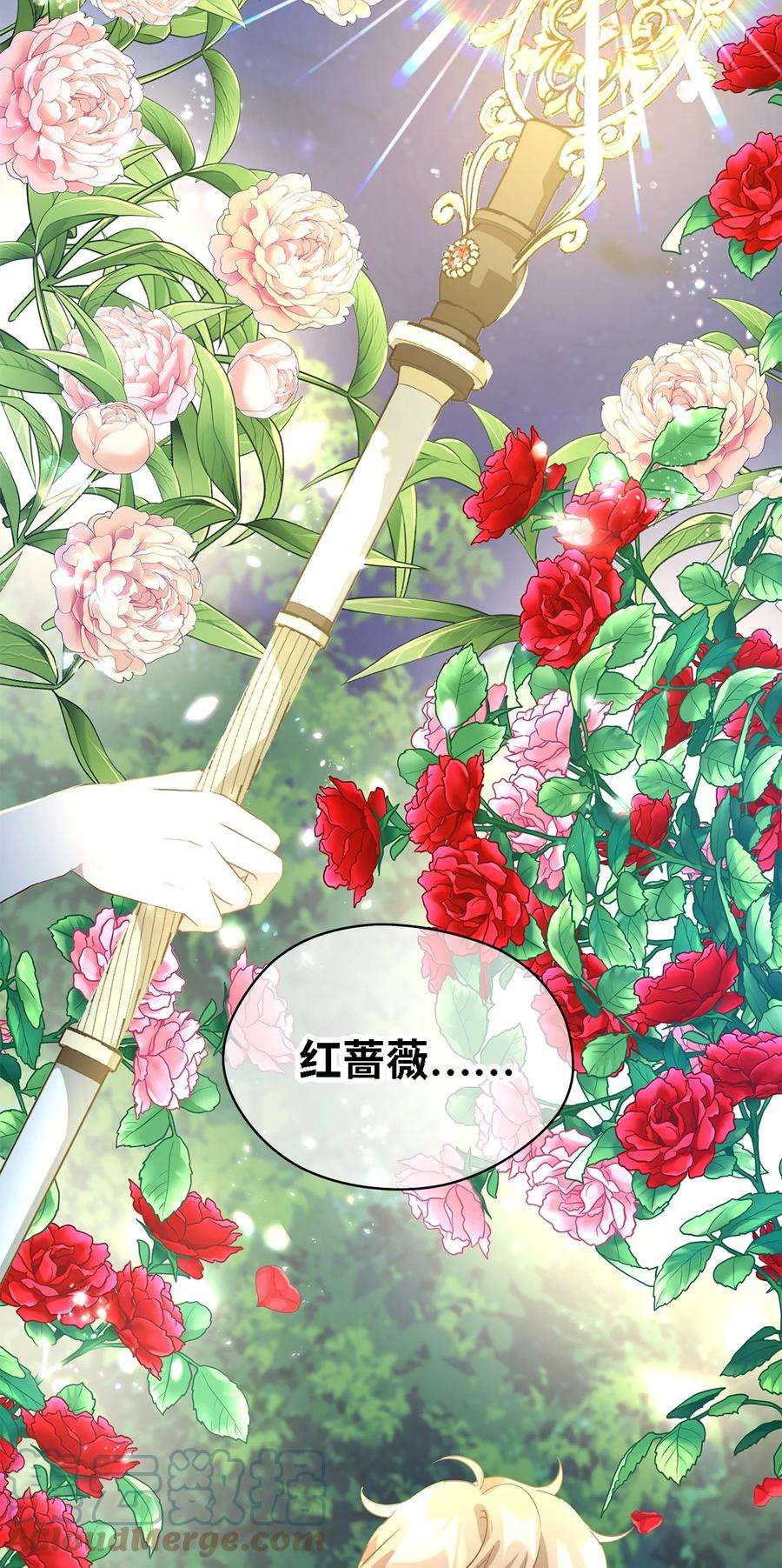 魔女无法悠闲生活41 花开了