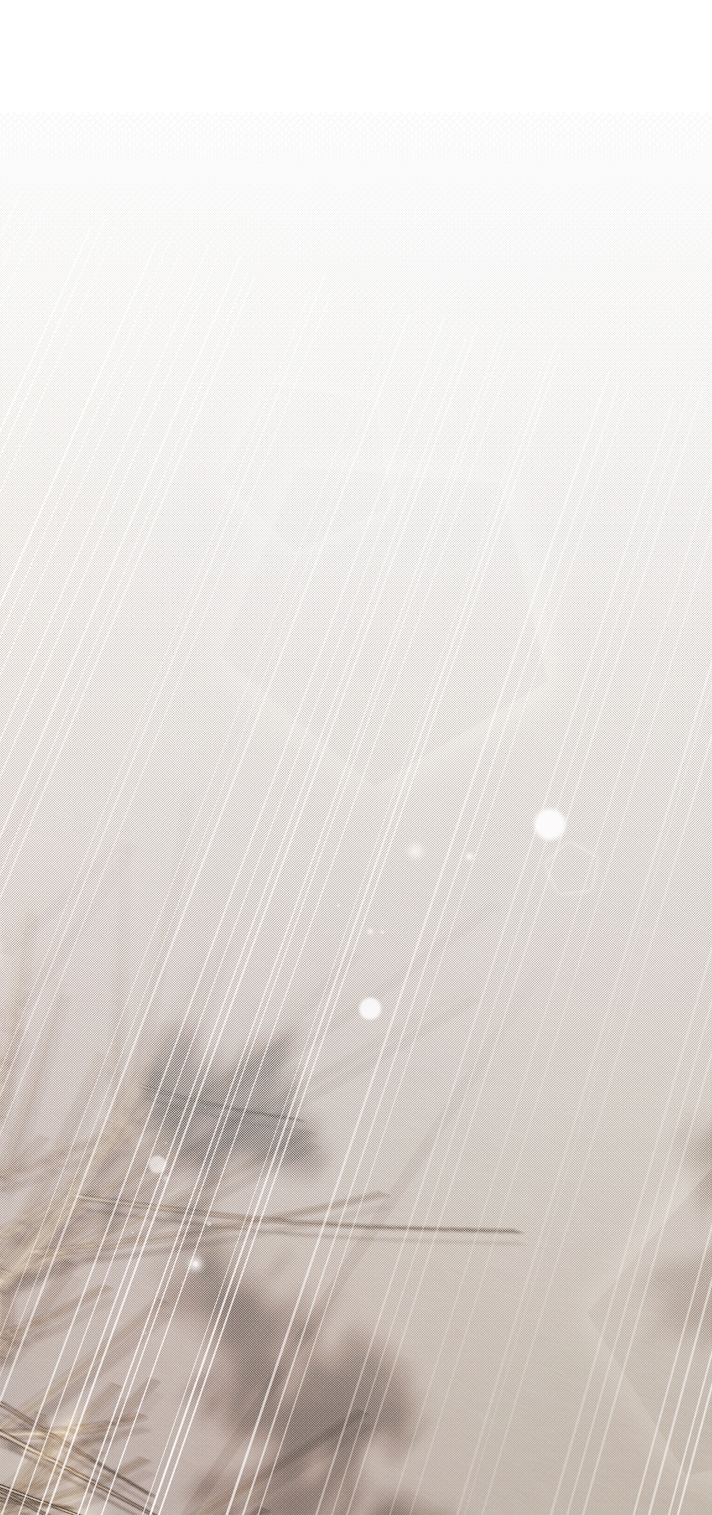 白日事故023 他的大学