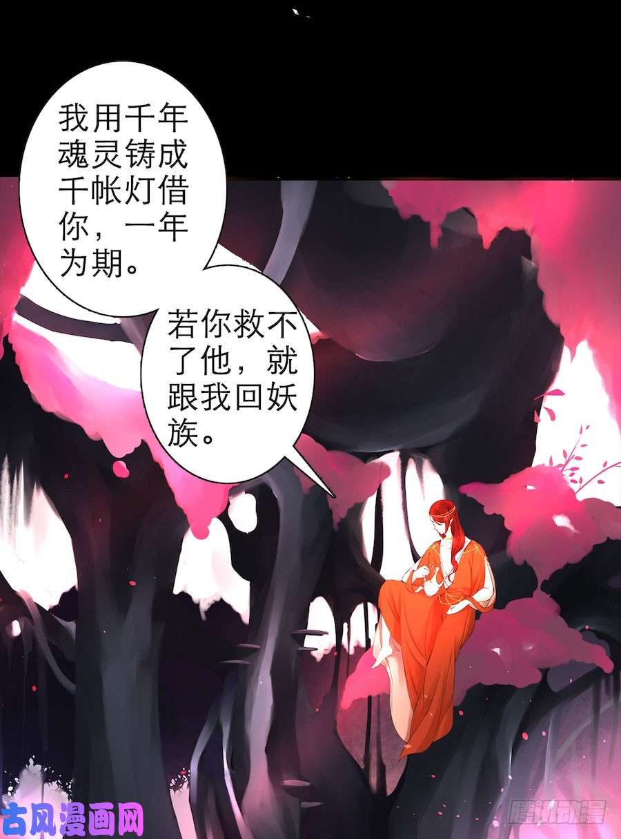 千帐灯预告