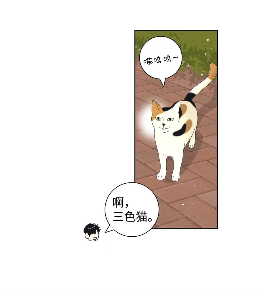 弄假成真02 老母亲的心